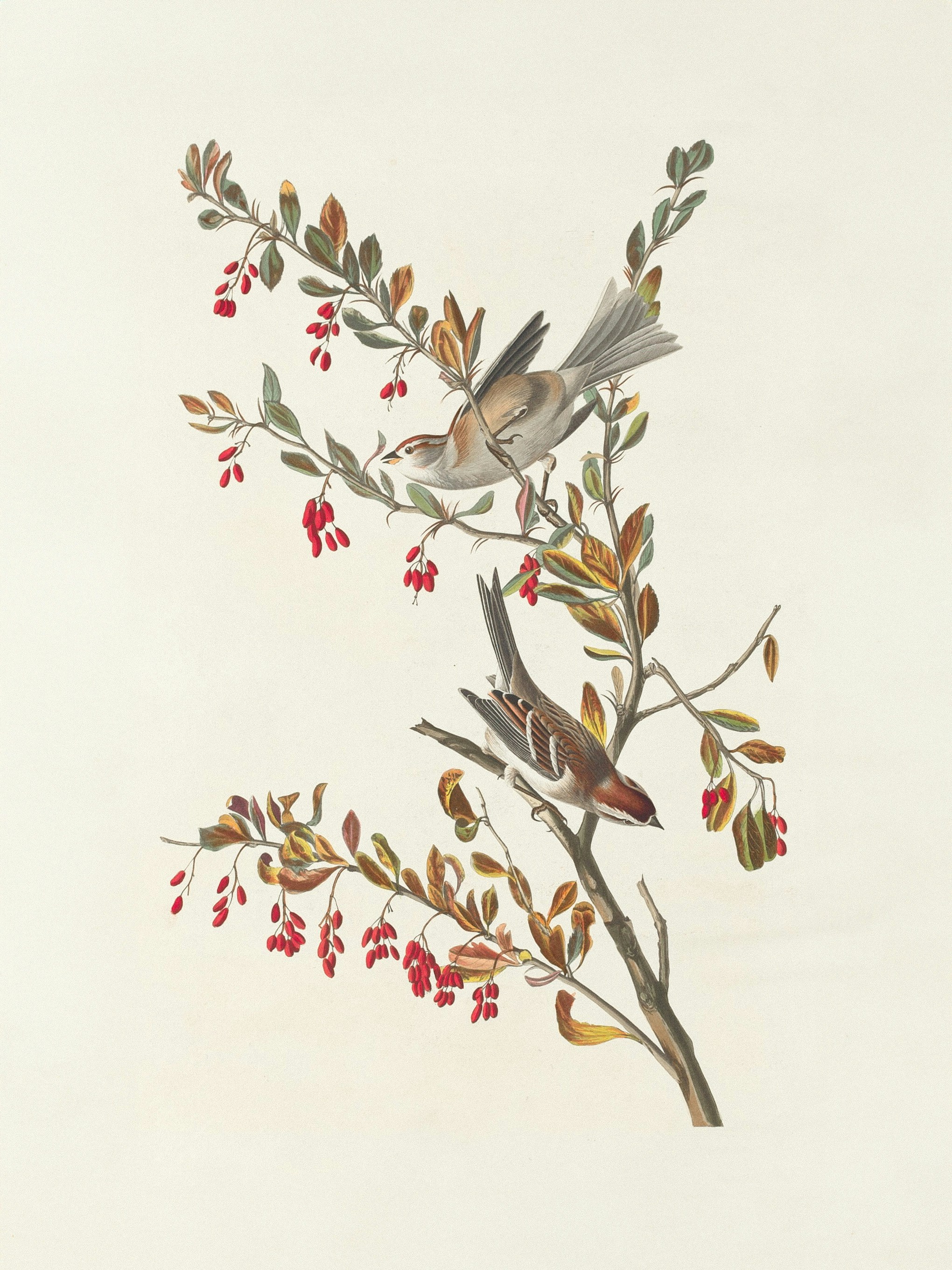 Photo by nationalgallery