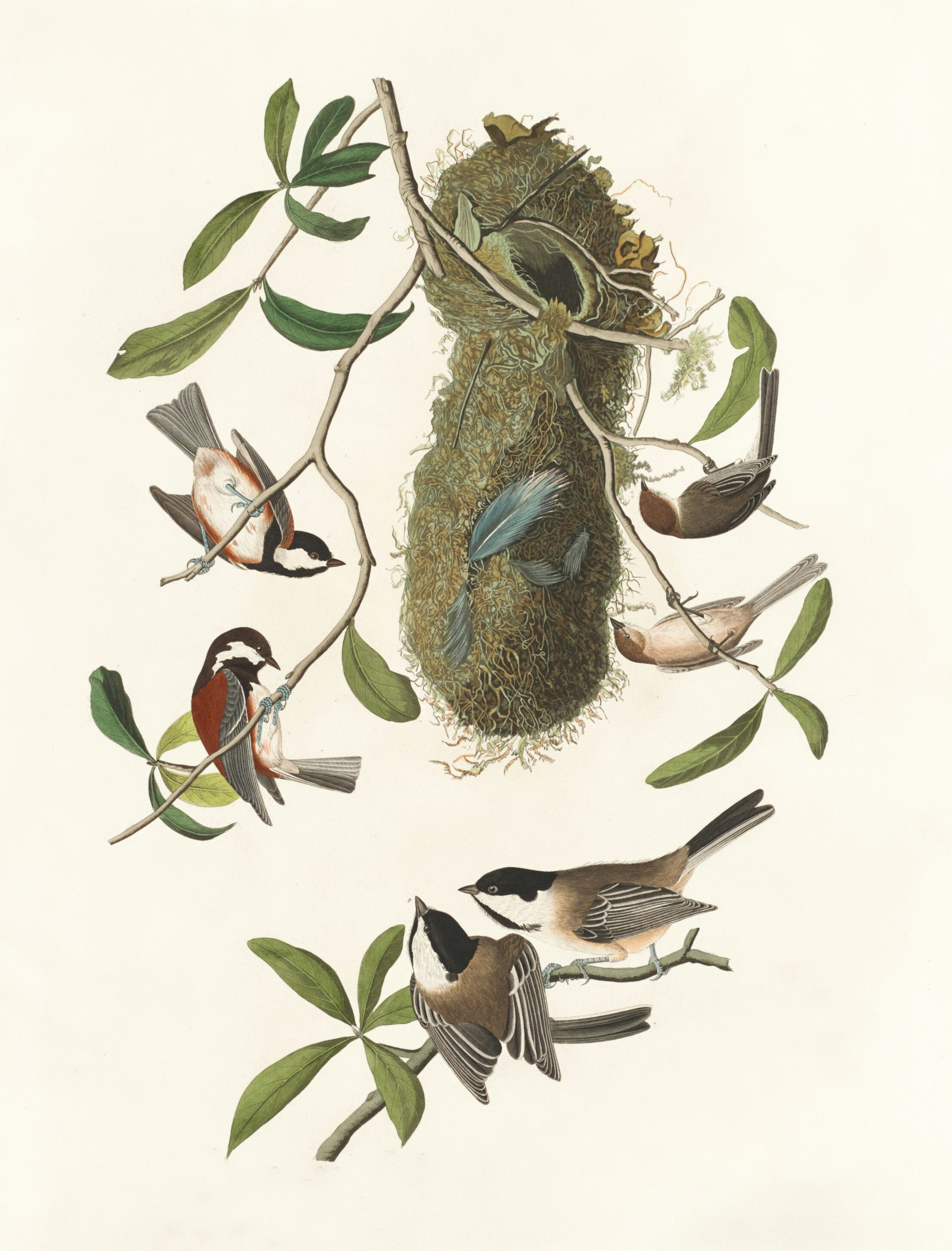 Photo by nationalgallery