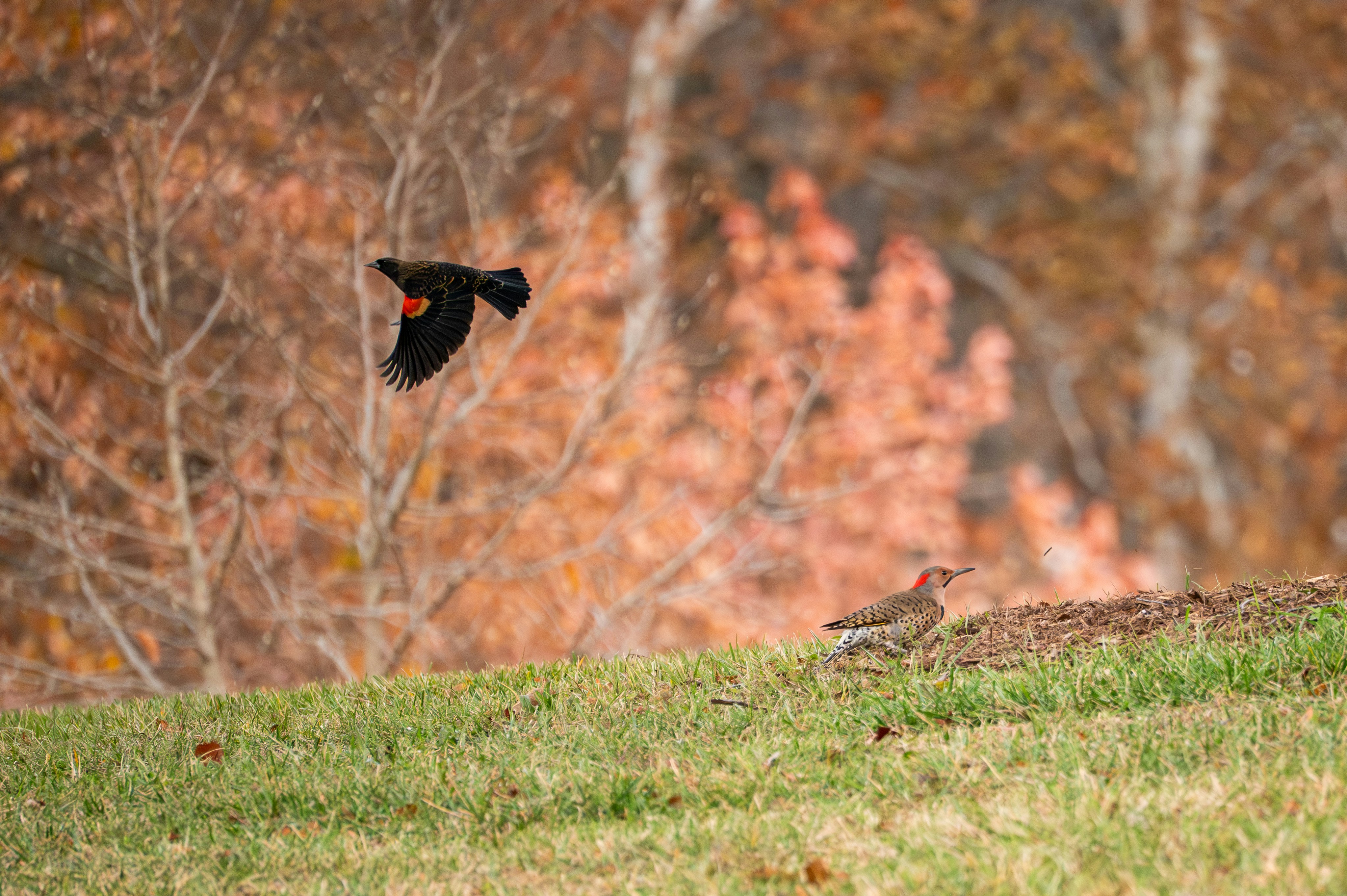 Micro-Rituals Over Quick Fixes: Deep Practice for Sustainable Health in 2026