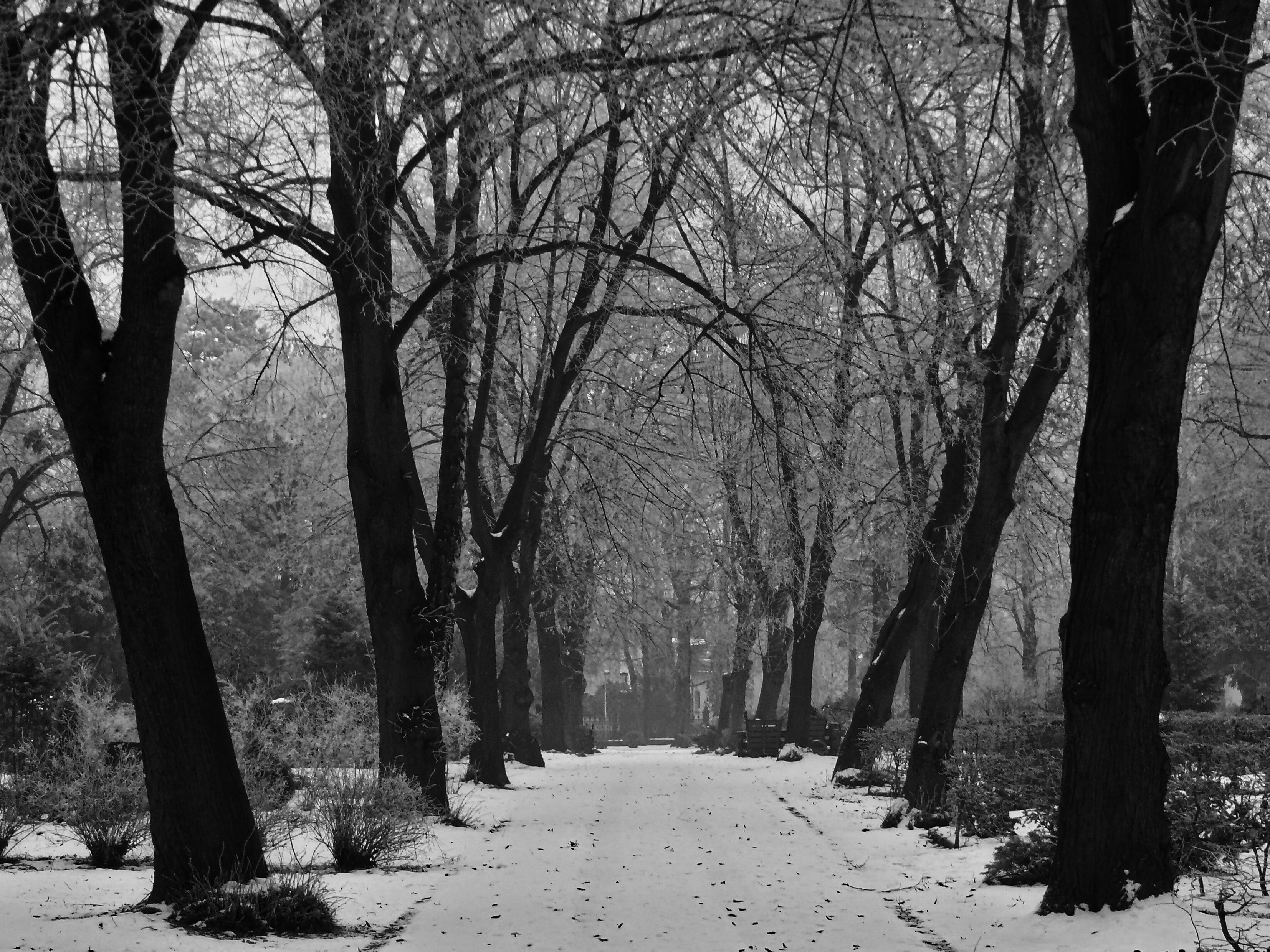 Photo by nikodemus777