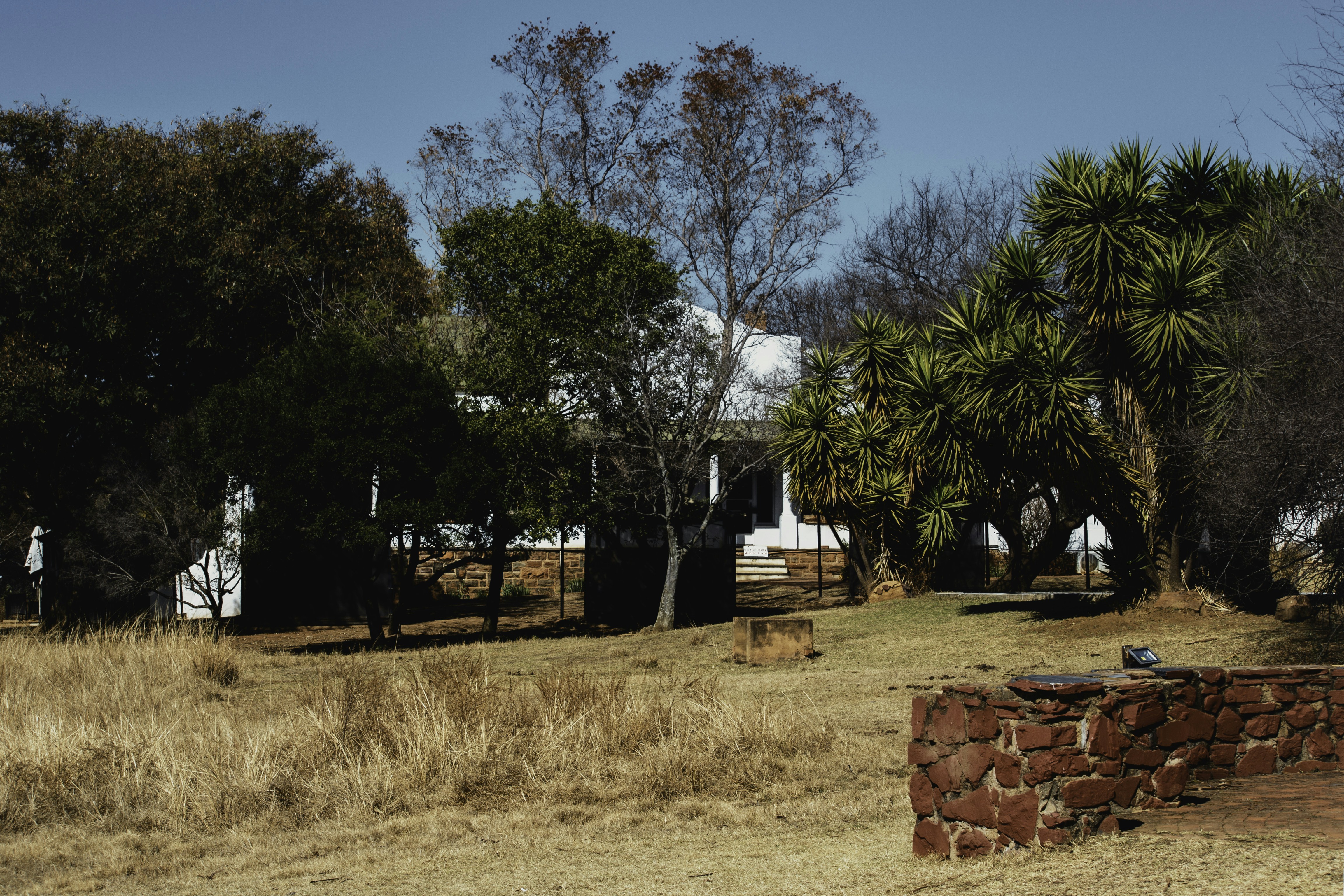 White house surrounded by trees and dry grass