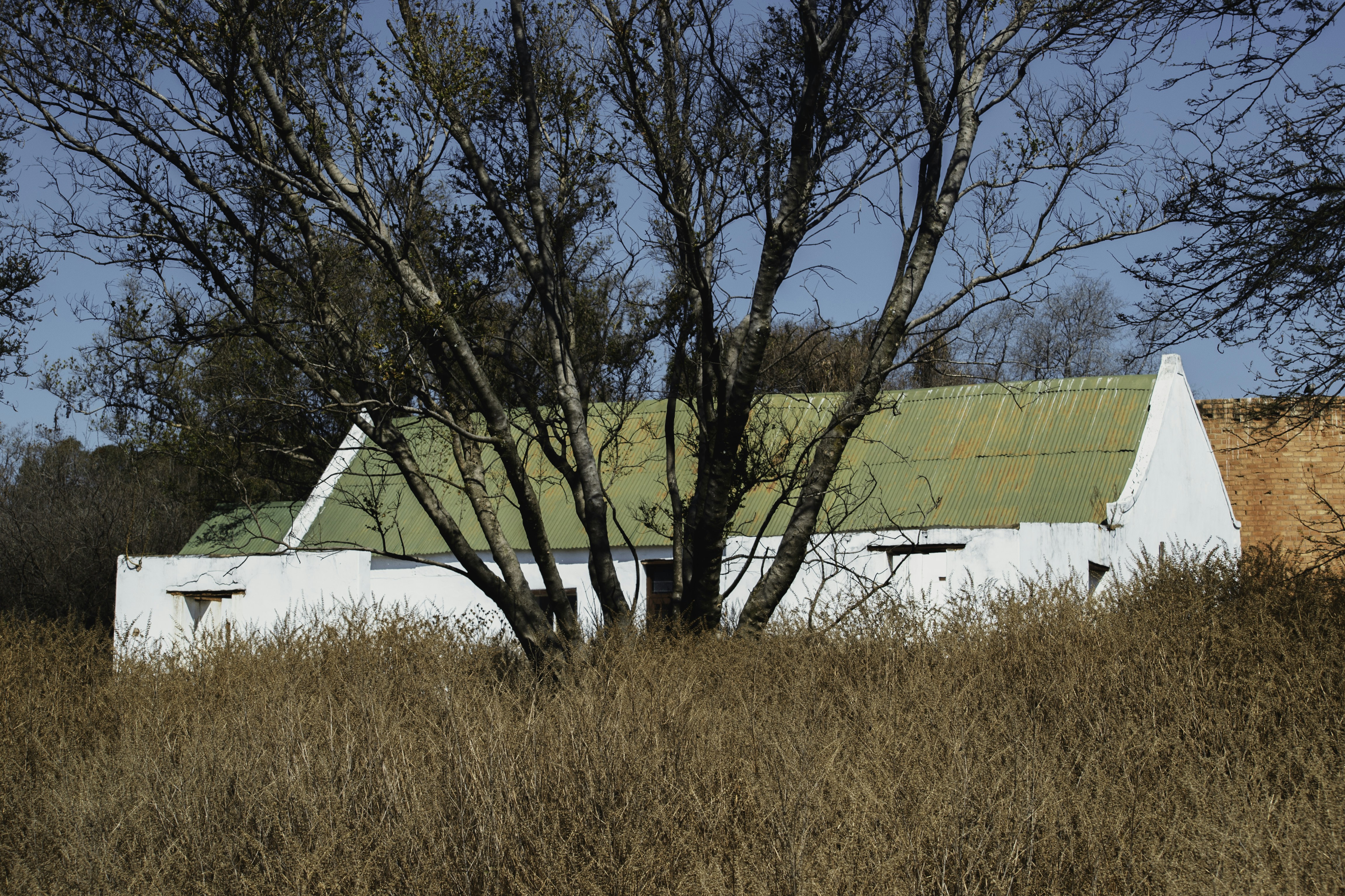 White building with green roof behind dry grass