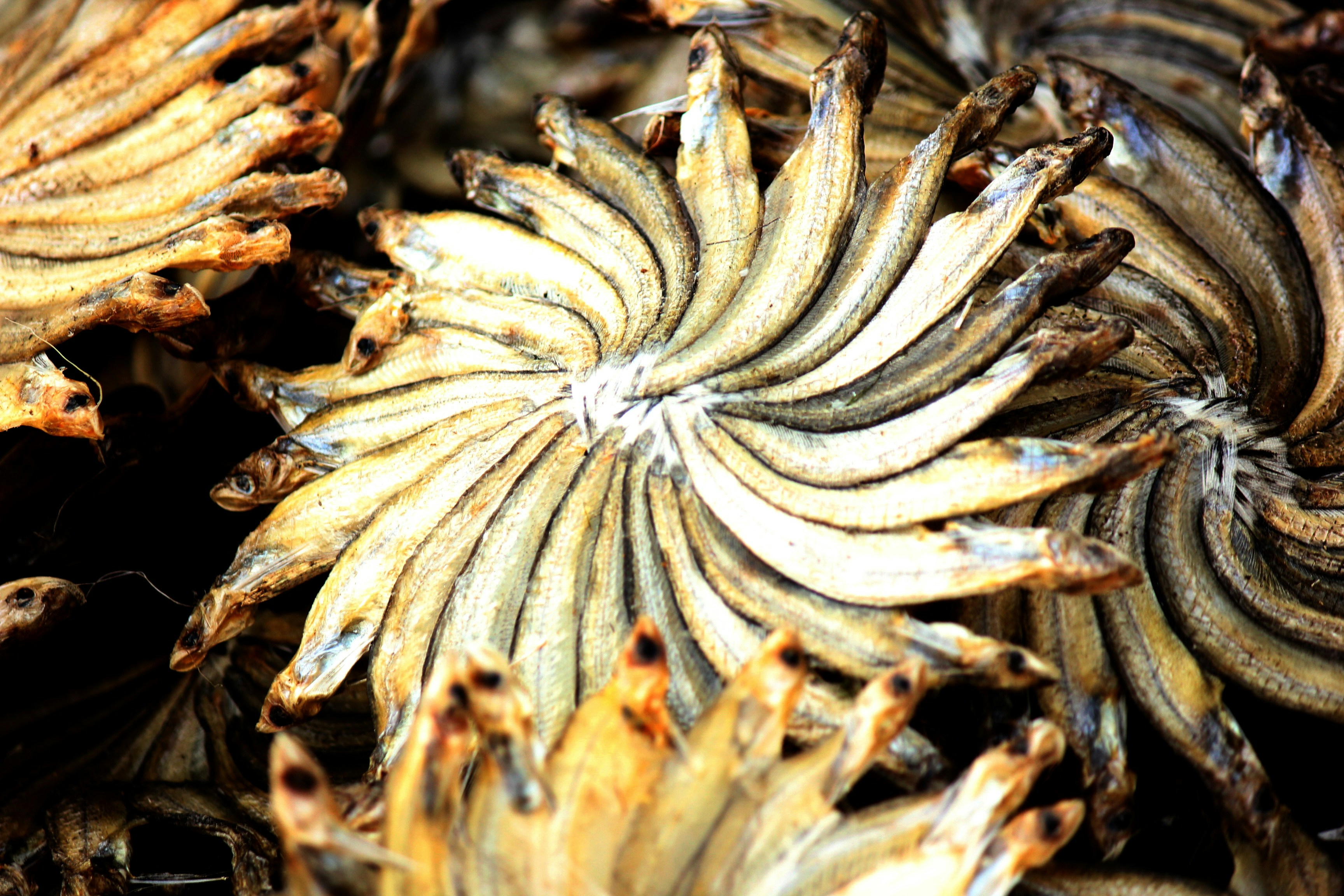 Dried fish arranged in a circular pattern