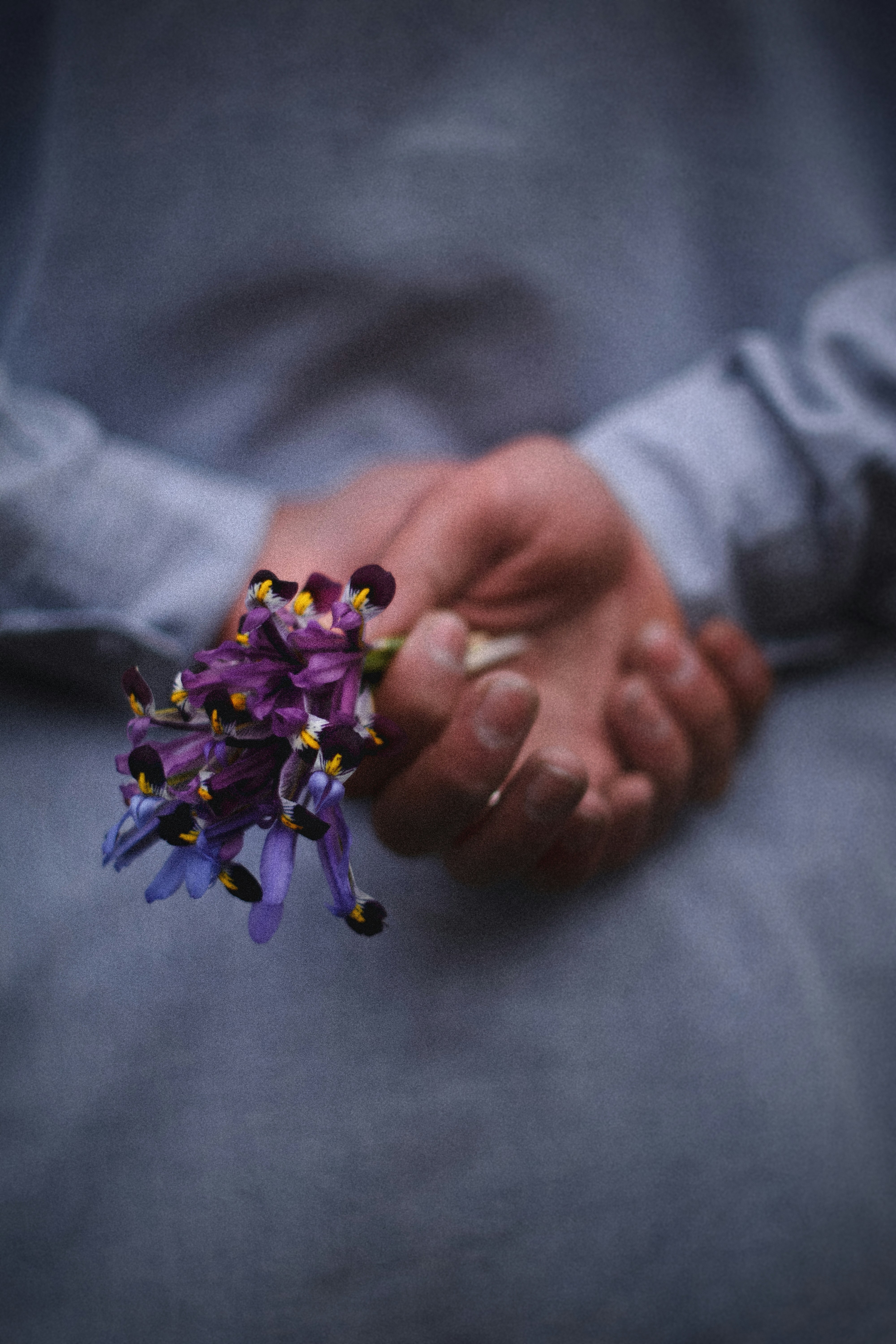 A hand holds a small bouquet of purple flowers.