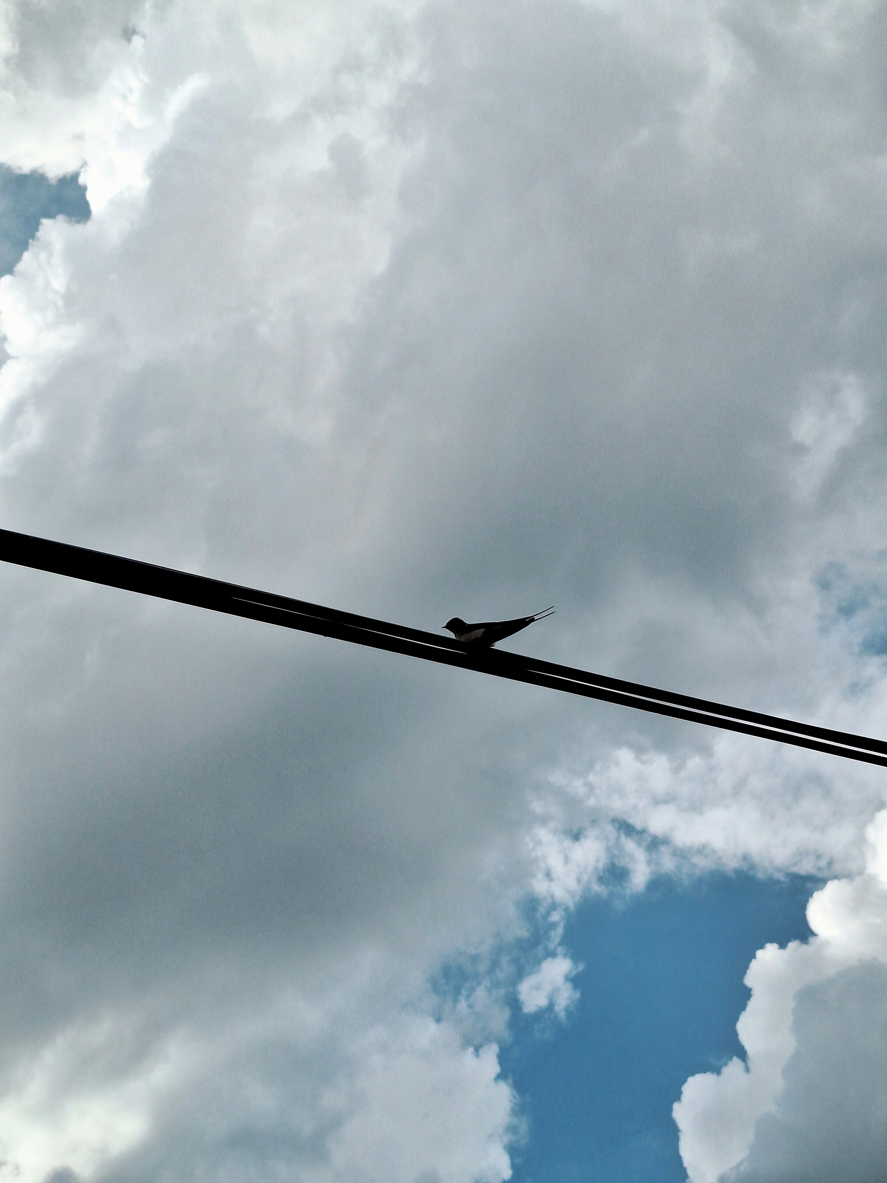 Photo by aliisarvari