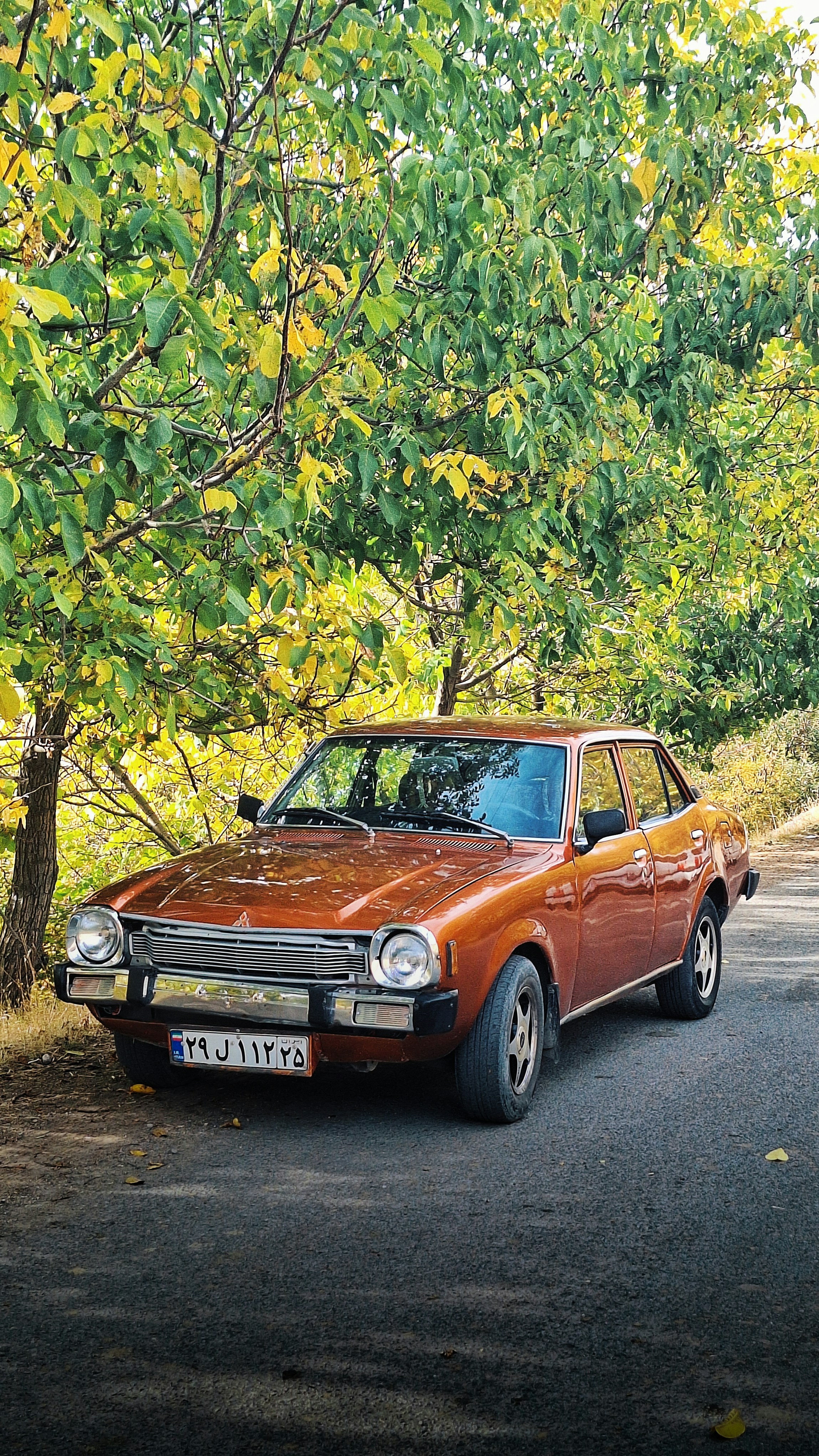 Photo by aliisarvari