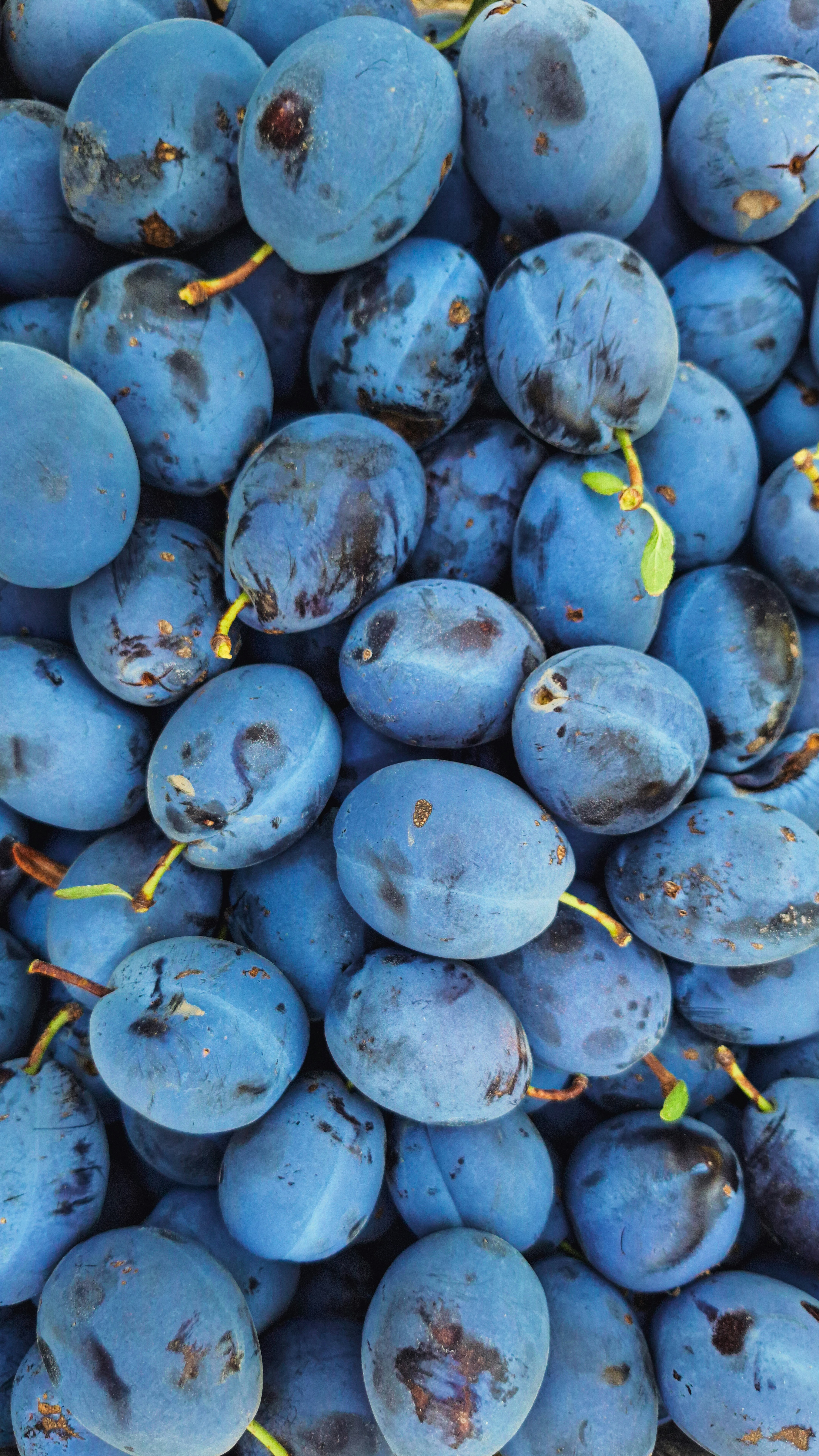 Photo by aliisarvari