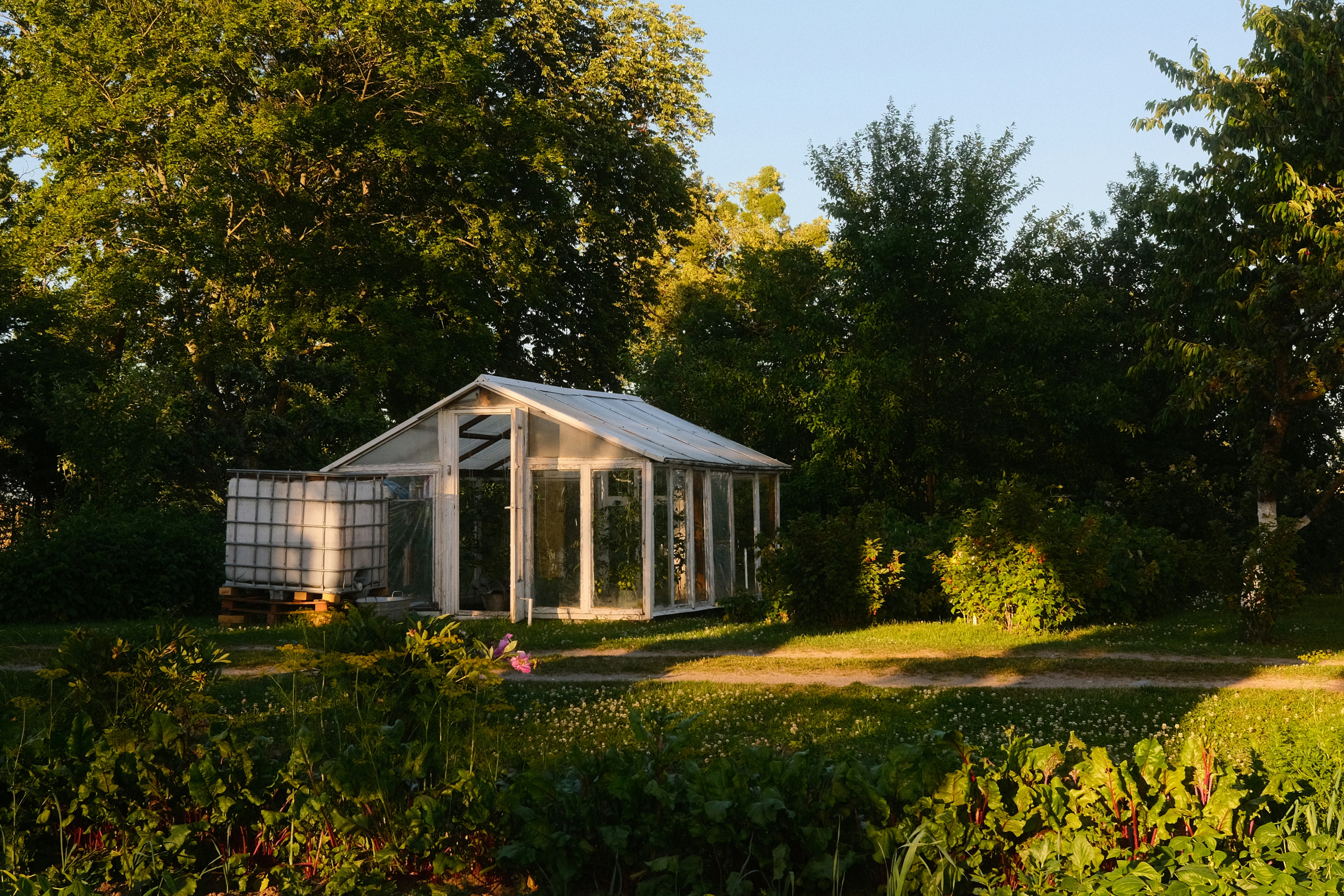 Greenhouse landscape