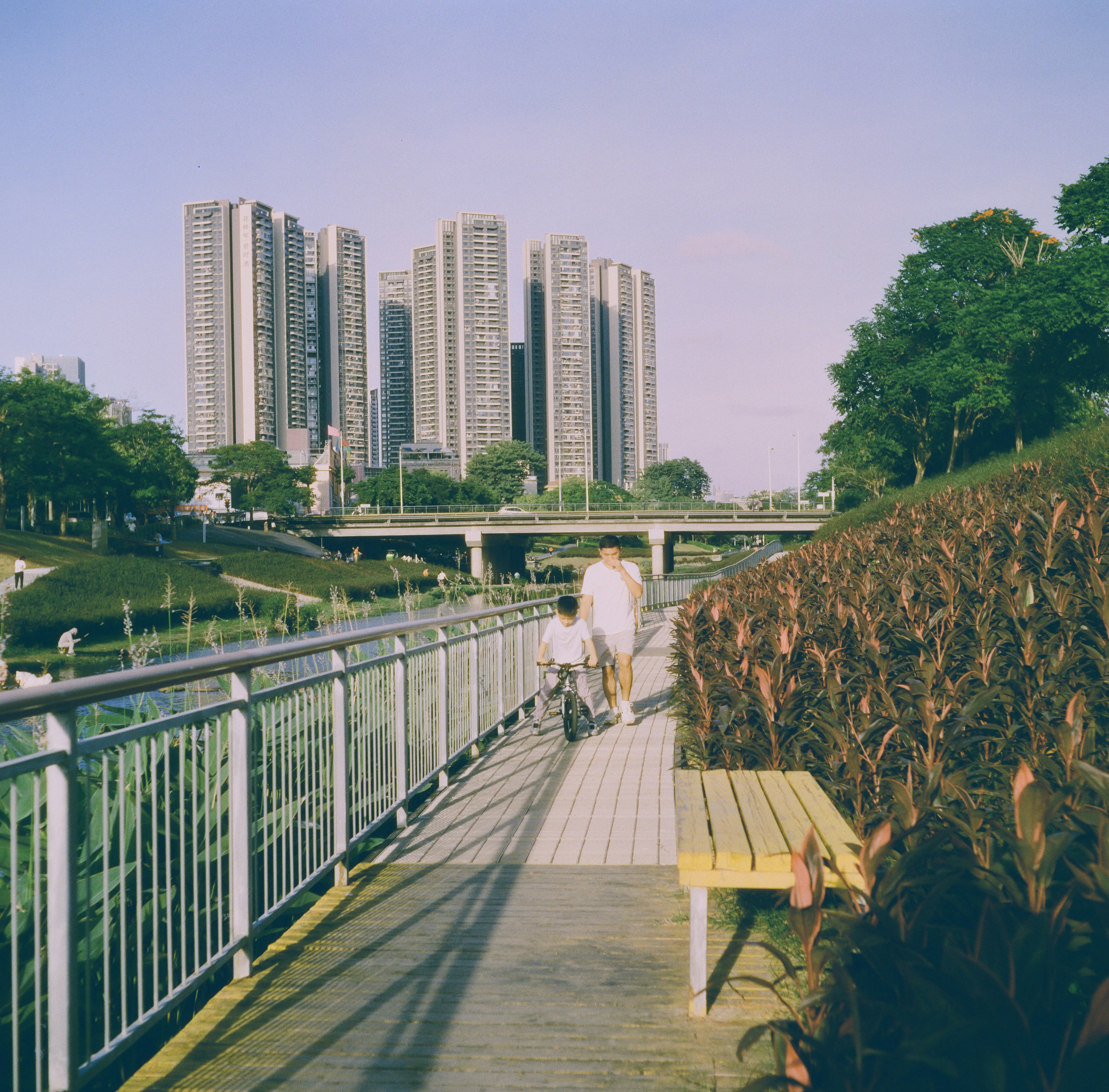 Commercial photo with cinematic color grade applied