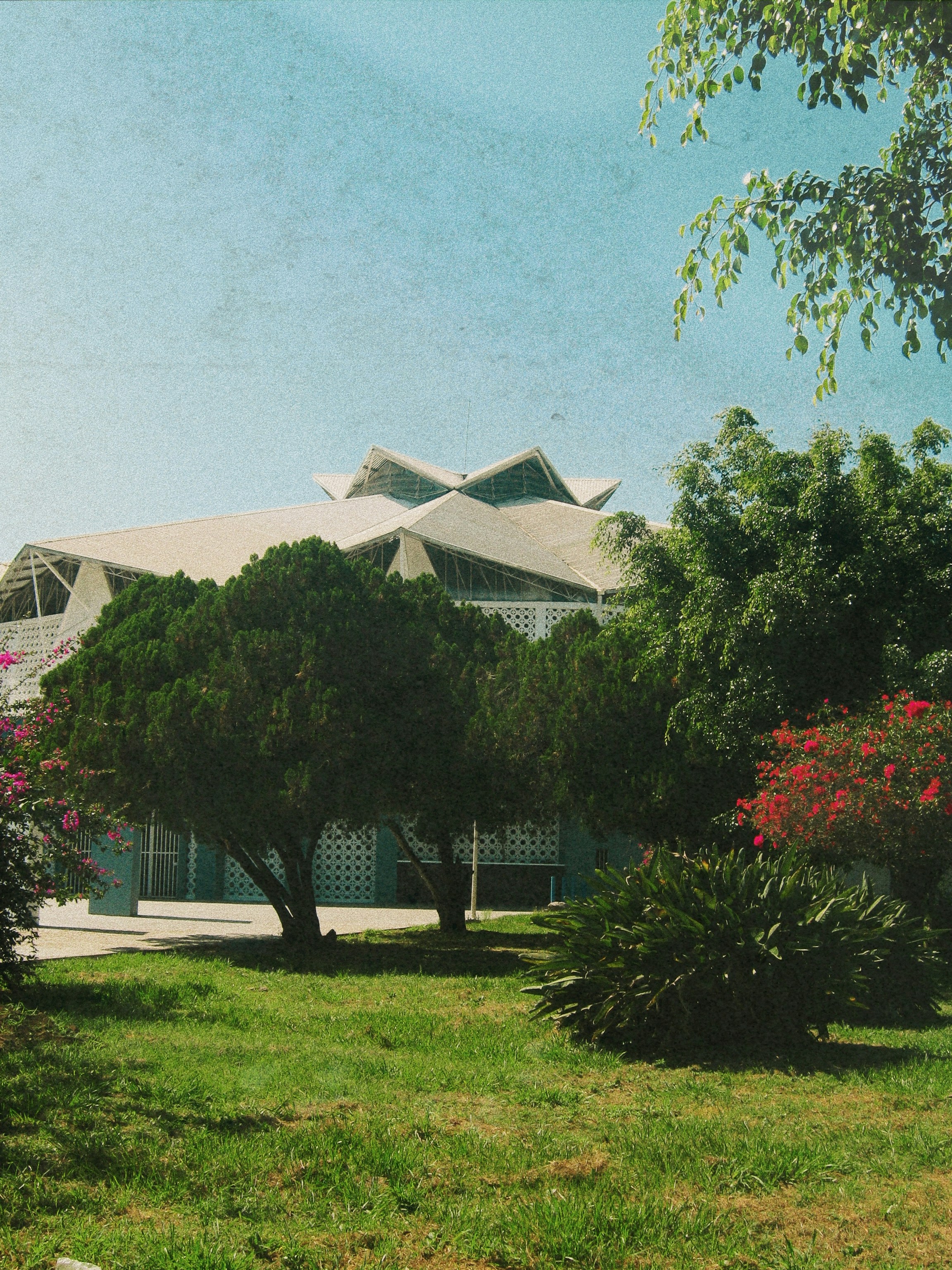 Photo by leovamexican