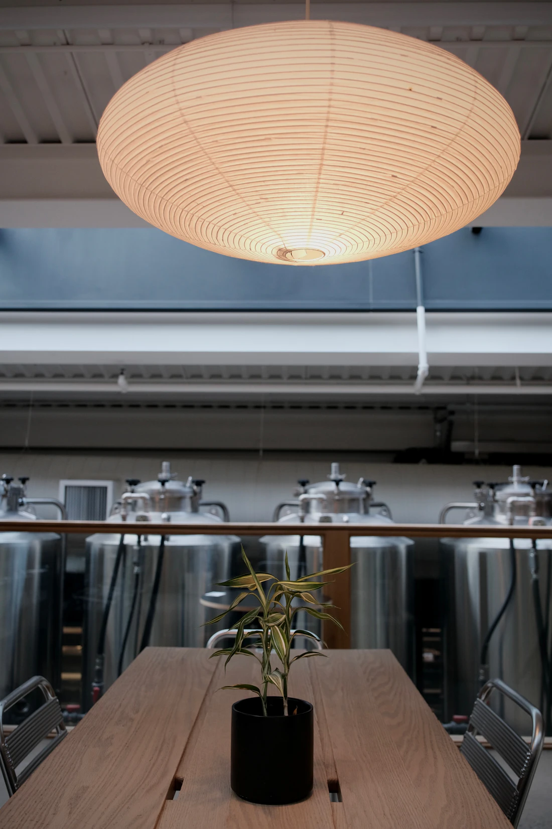 Rows of polished stainless steel tanks and sanitary process vessels