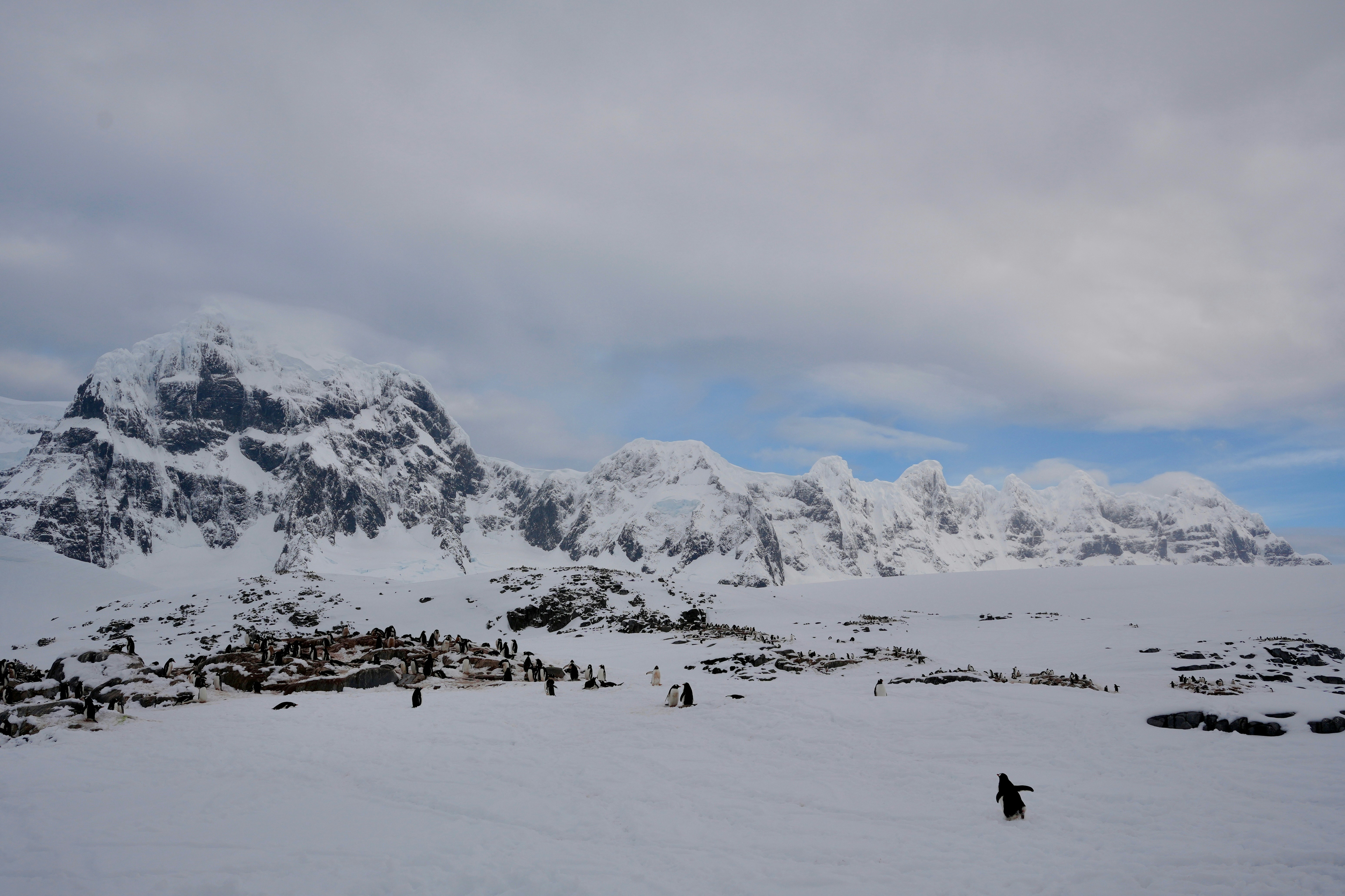 Photo by jotavandeiri