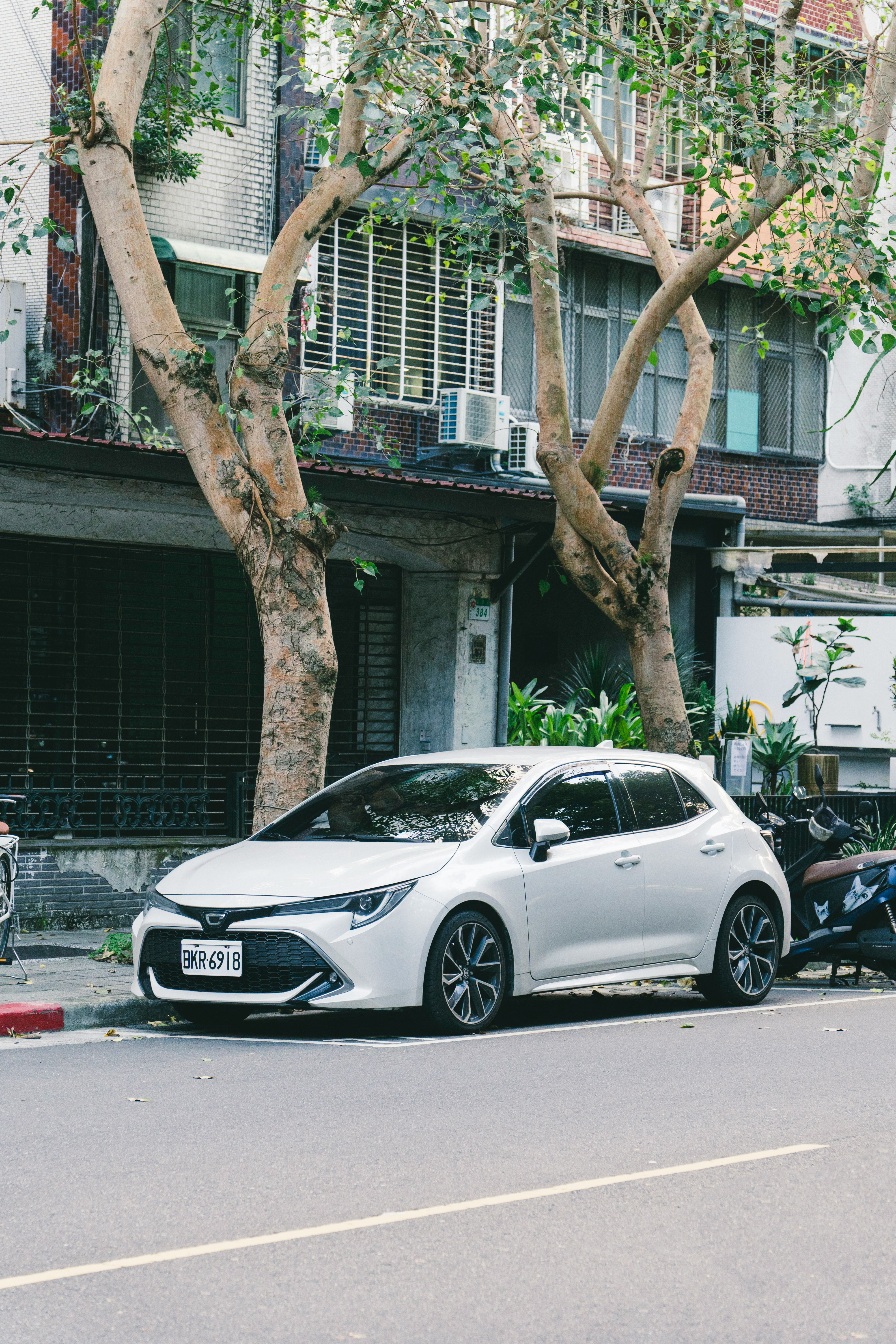 Compact Hatchback (Placeholder)