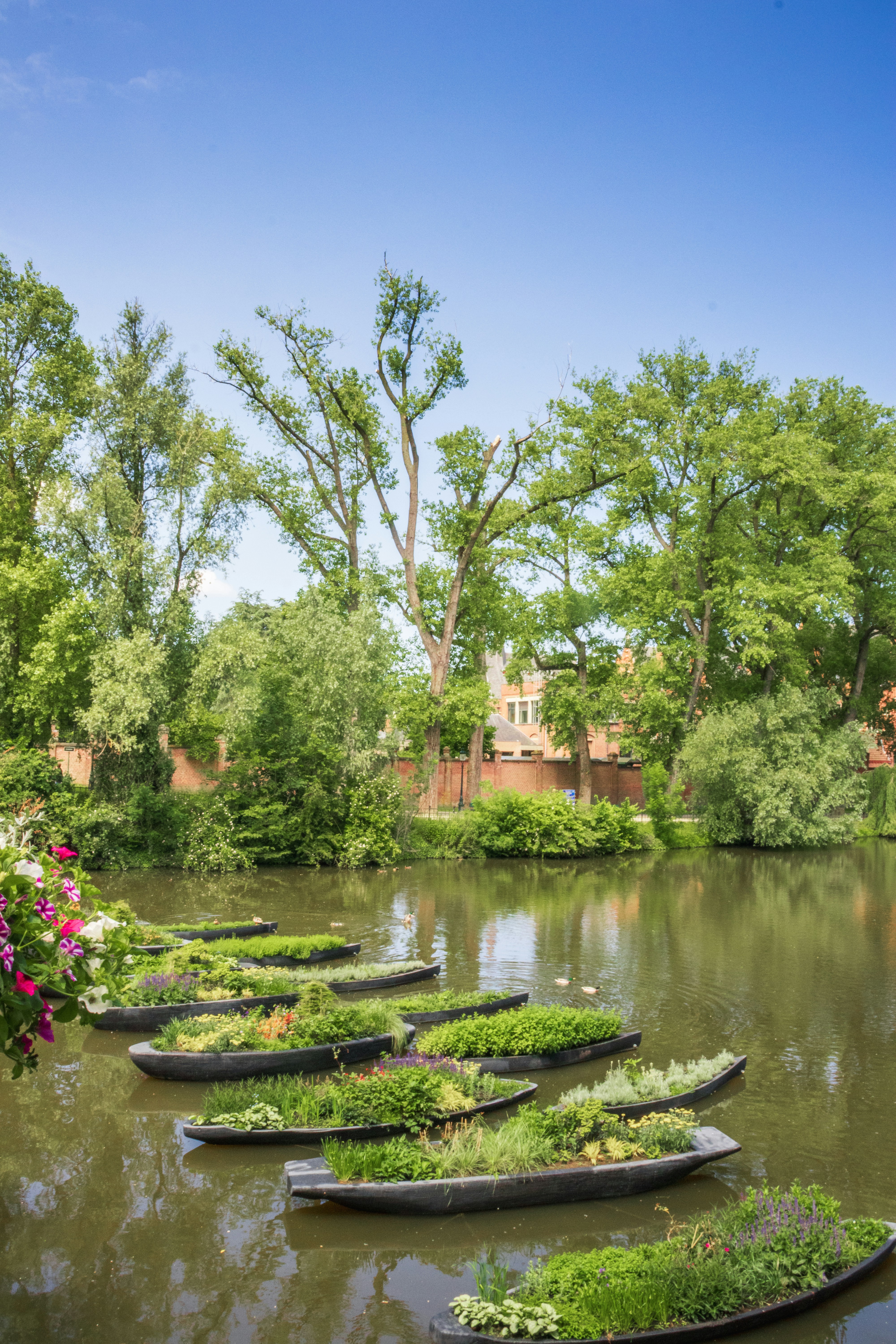 Boats filled with lush green plants floating on water.