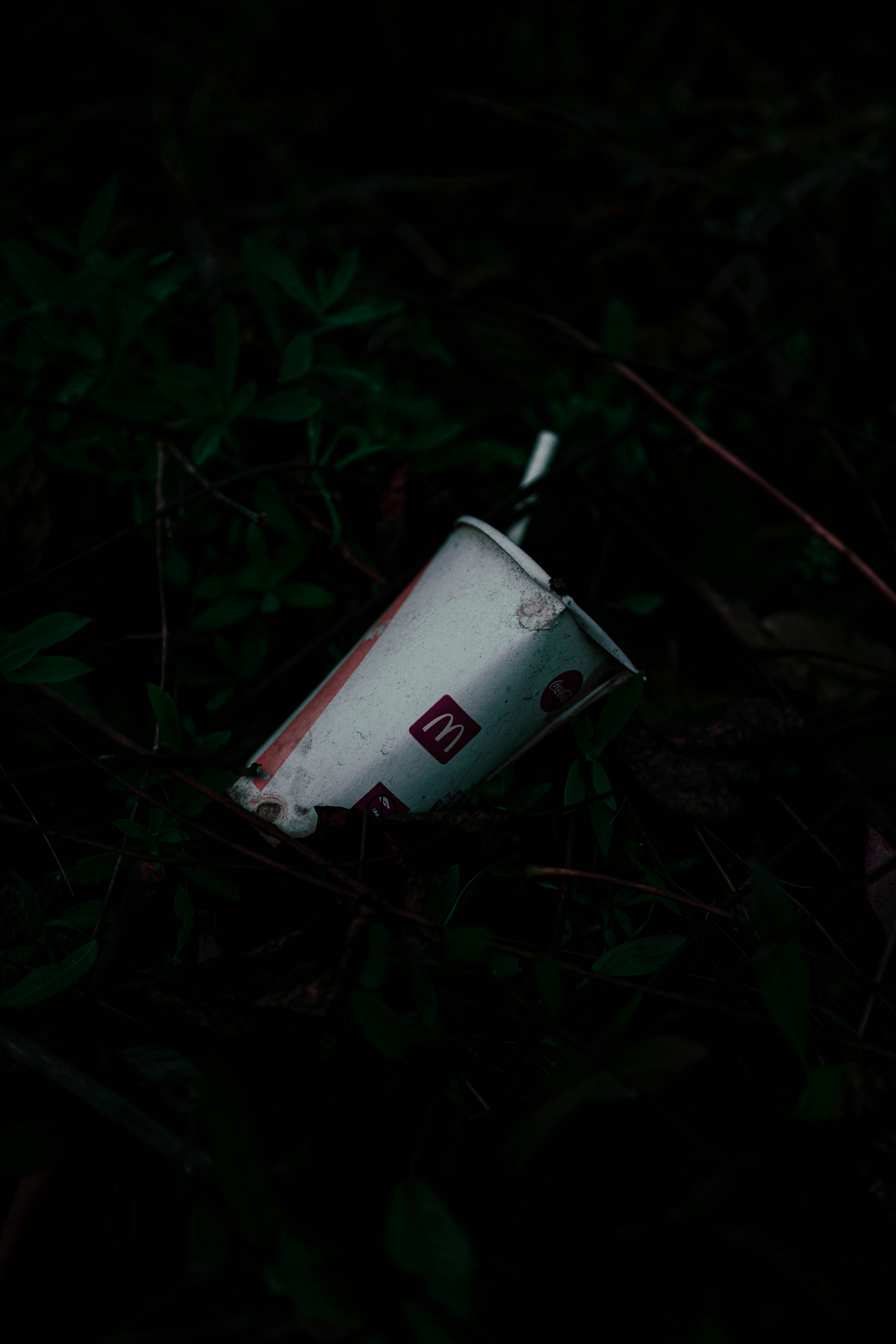 Mcdonald's cup discarded in dark foliage