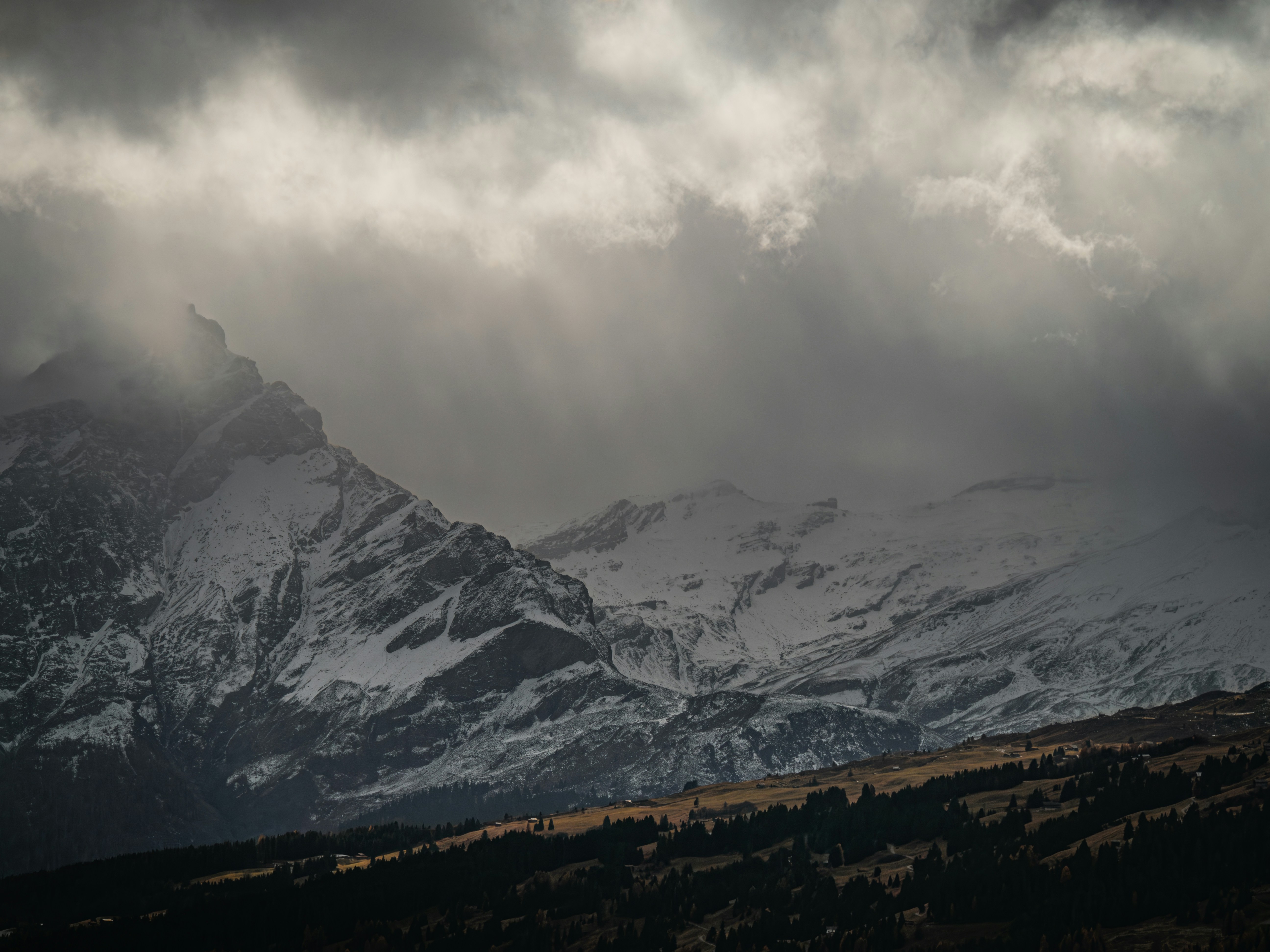 Photo by poli_graphy