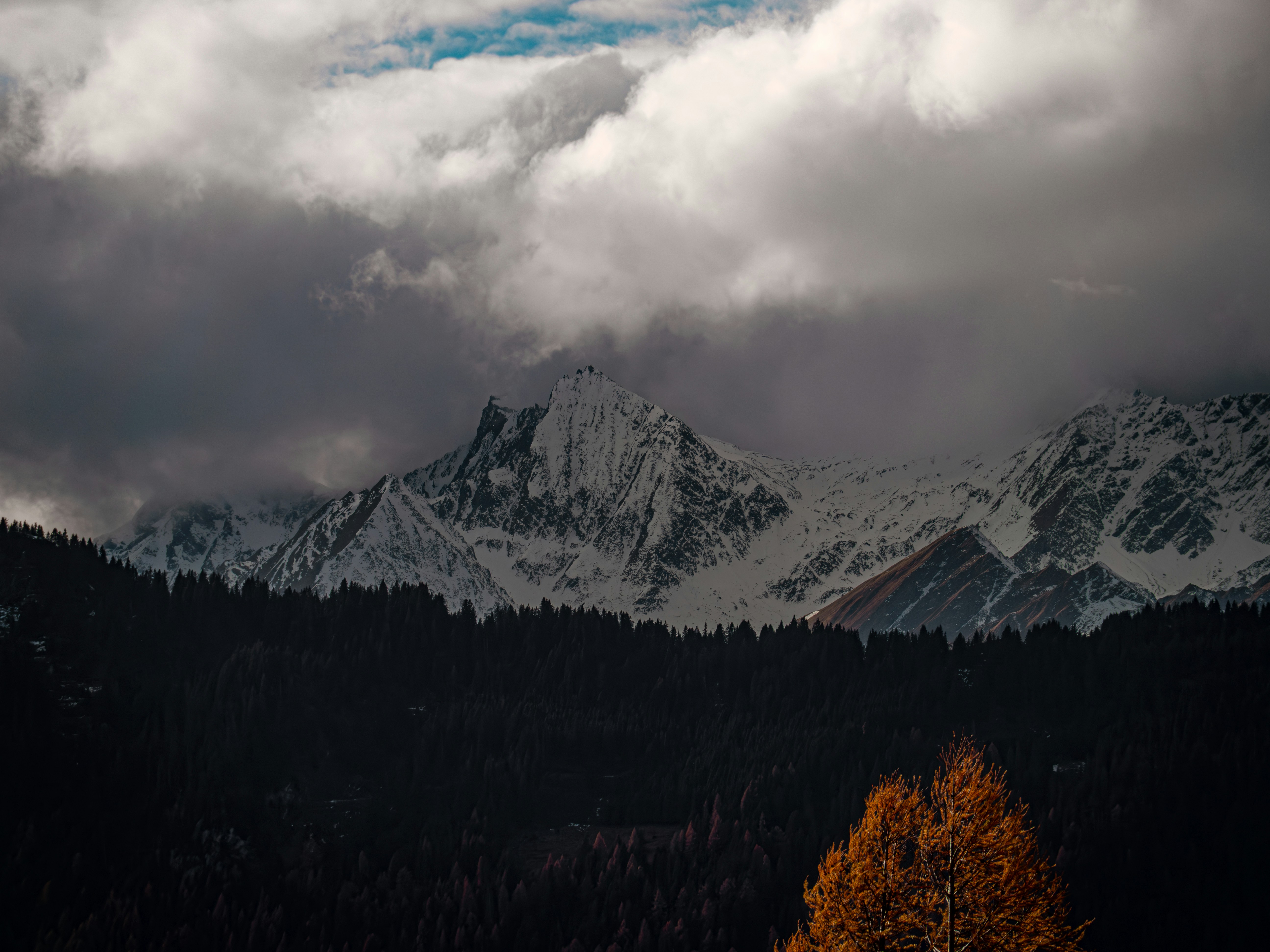 Photo by poli_graphy