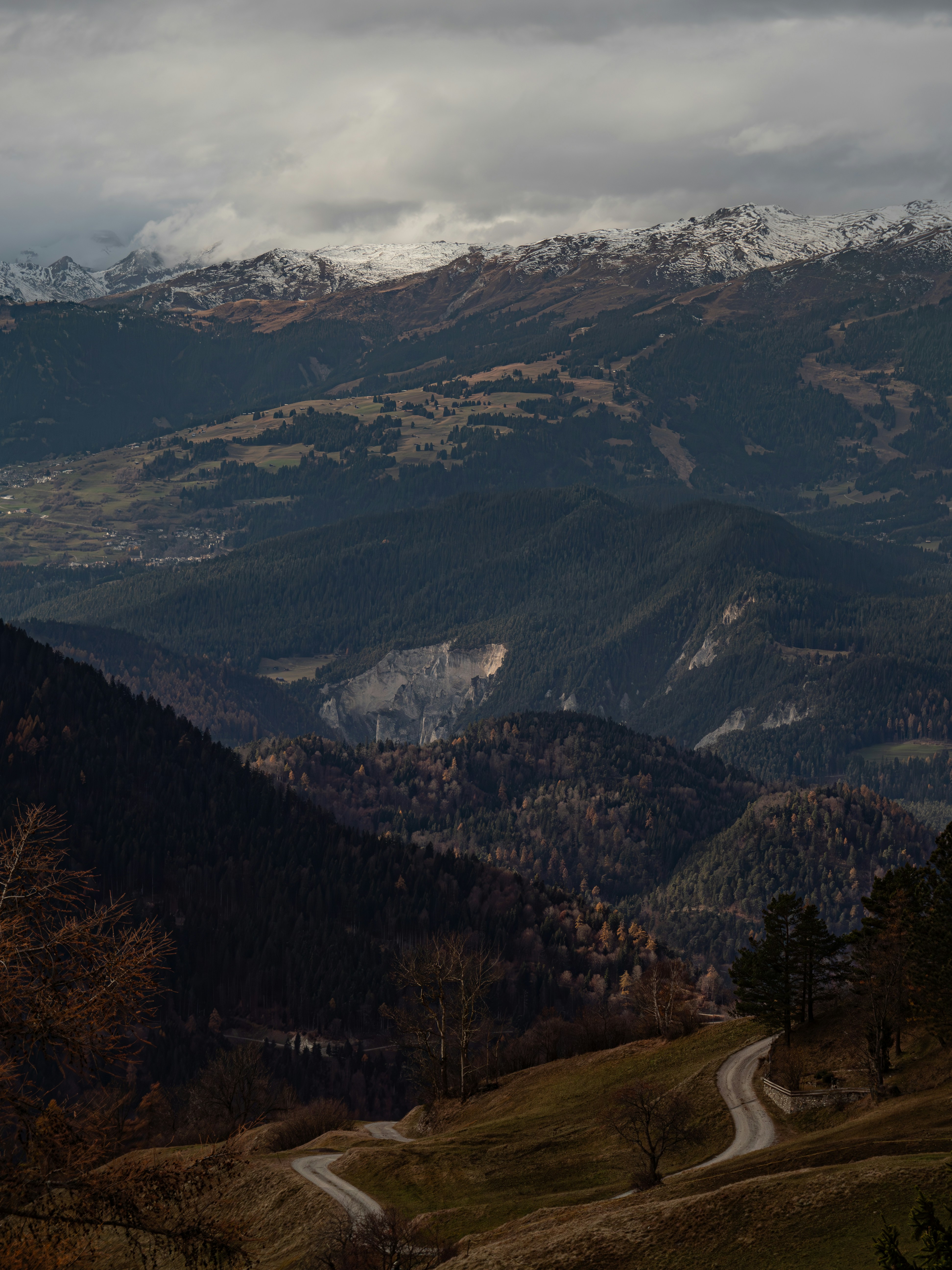 Photo by poli_graphy