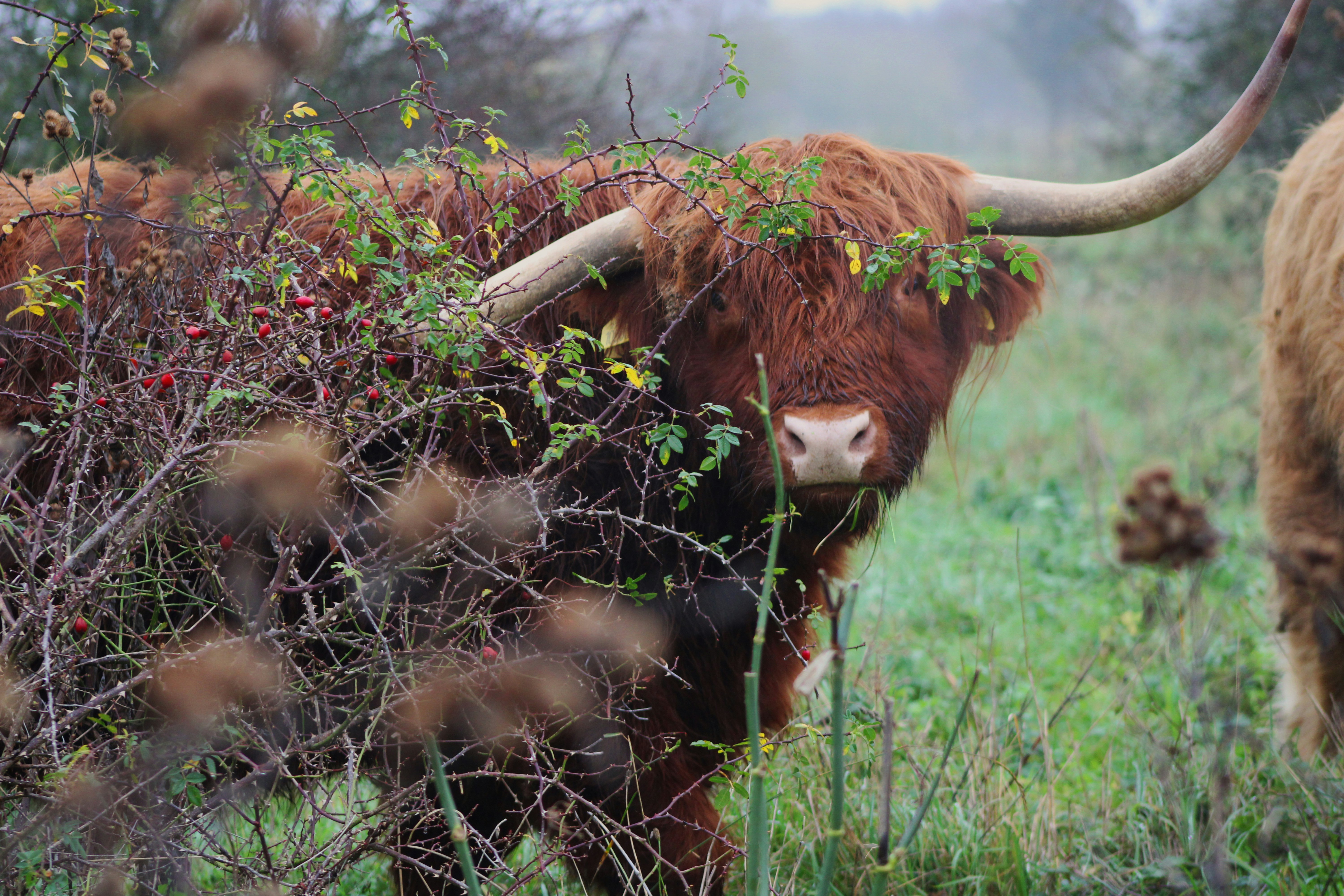 Photo by danajansone