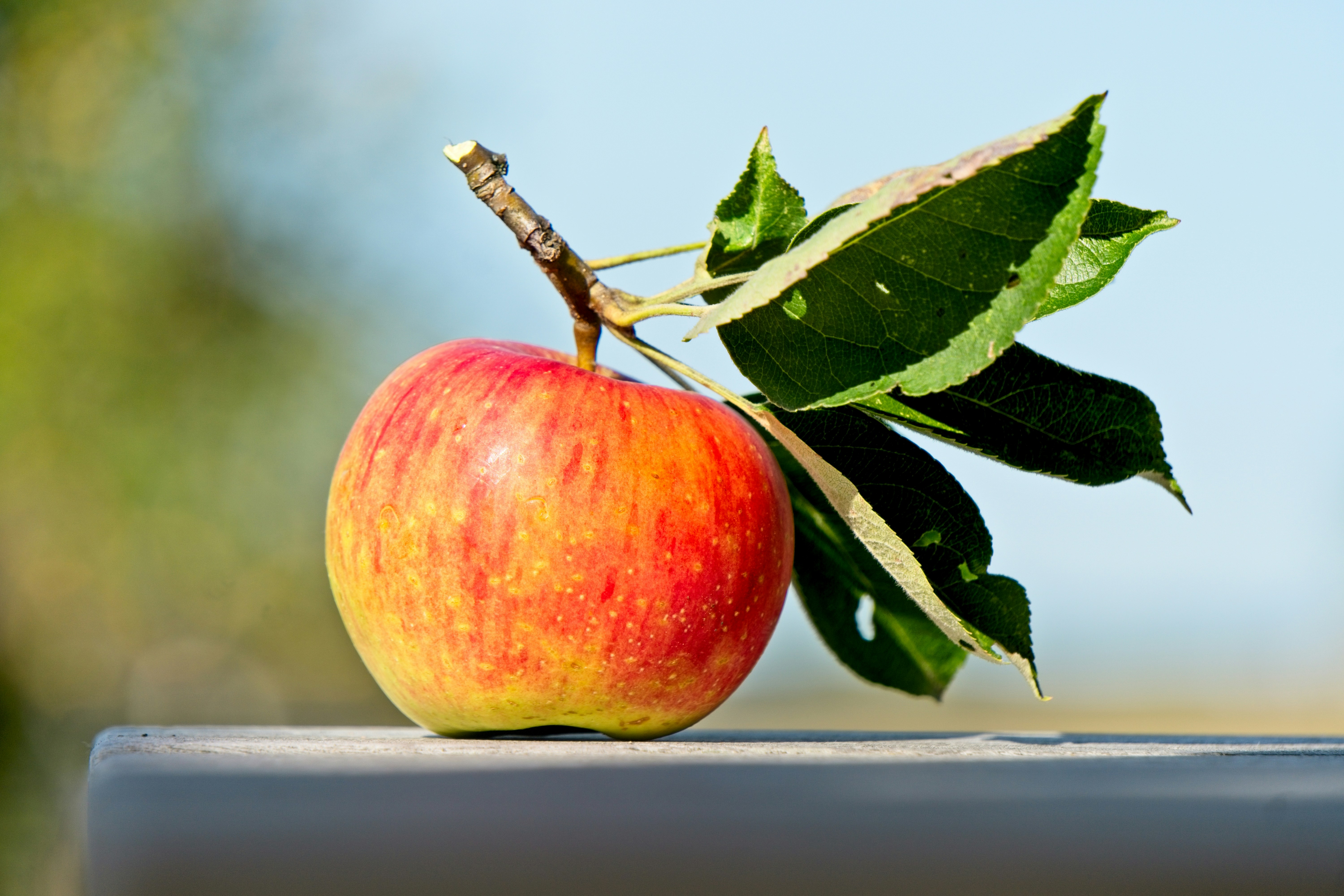 Does Apple Cider Vinegar Actually Help with Weight Loss? Here's What the Science Says