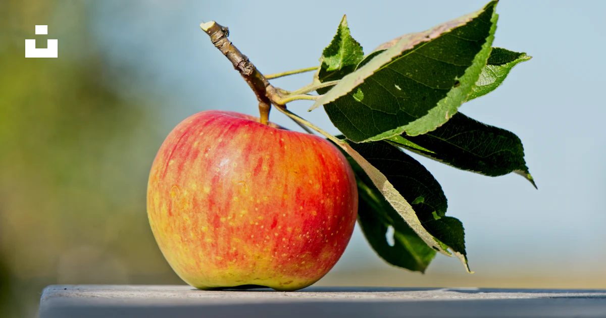How Ripe Apple A ripe apple with leaves on a branch. photo – Free Food Image on Unsplash