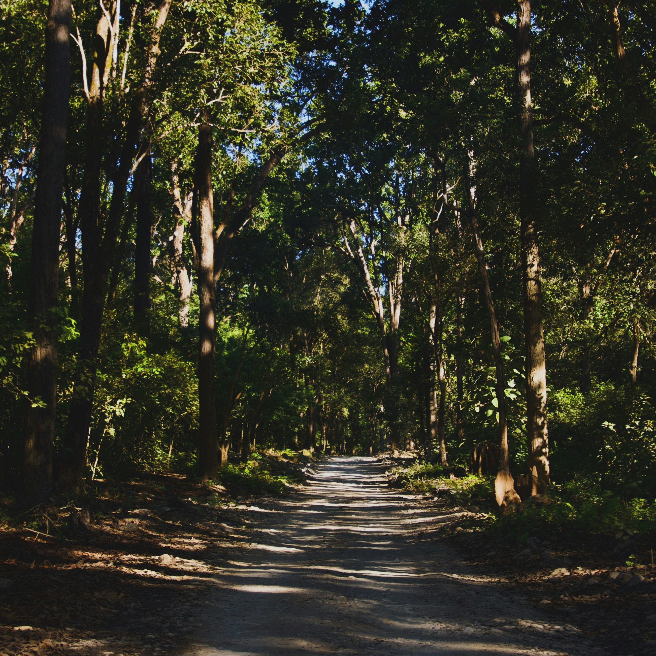 Photo by hiteshkapoor