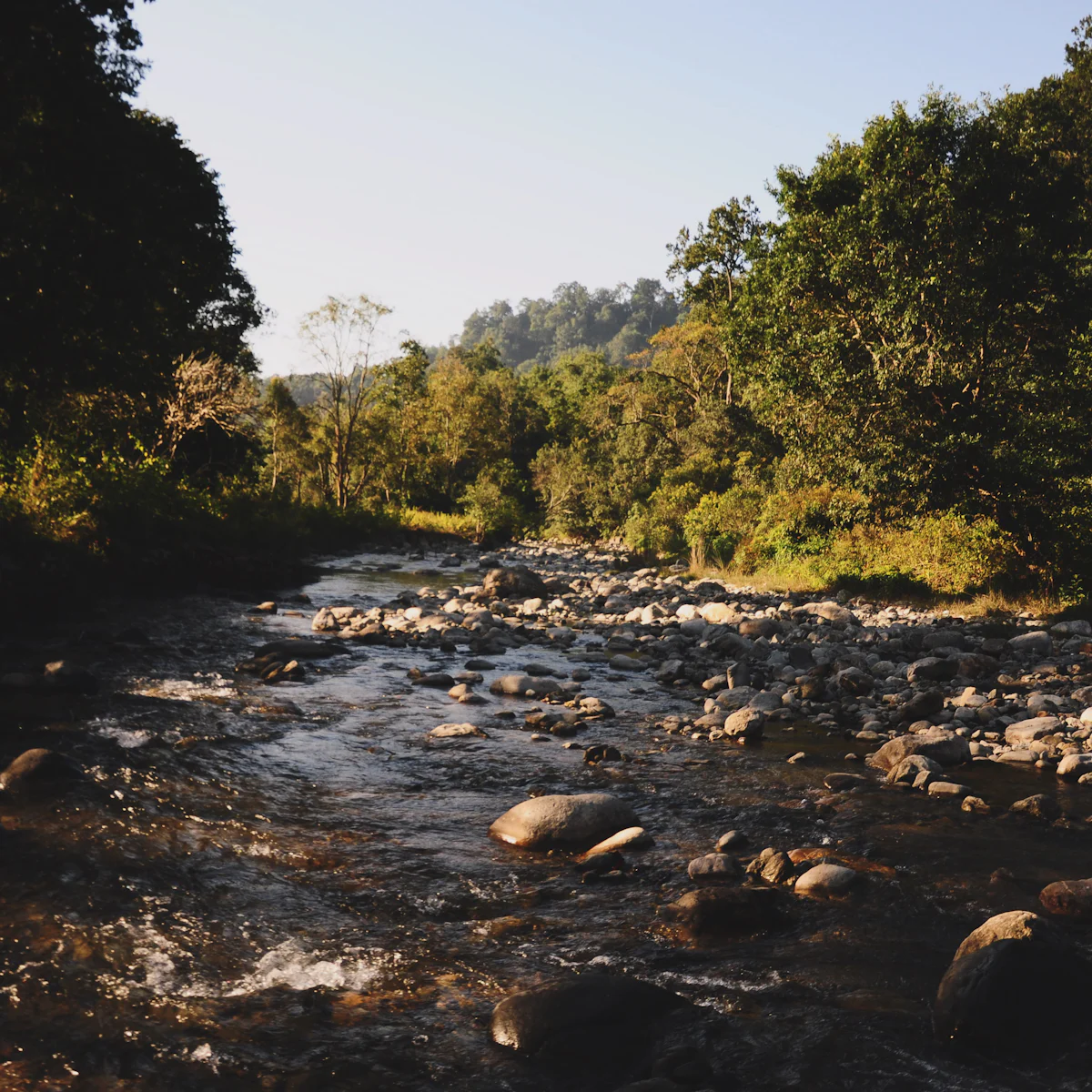Susunia Hills