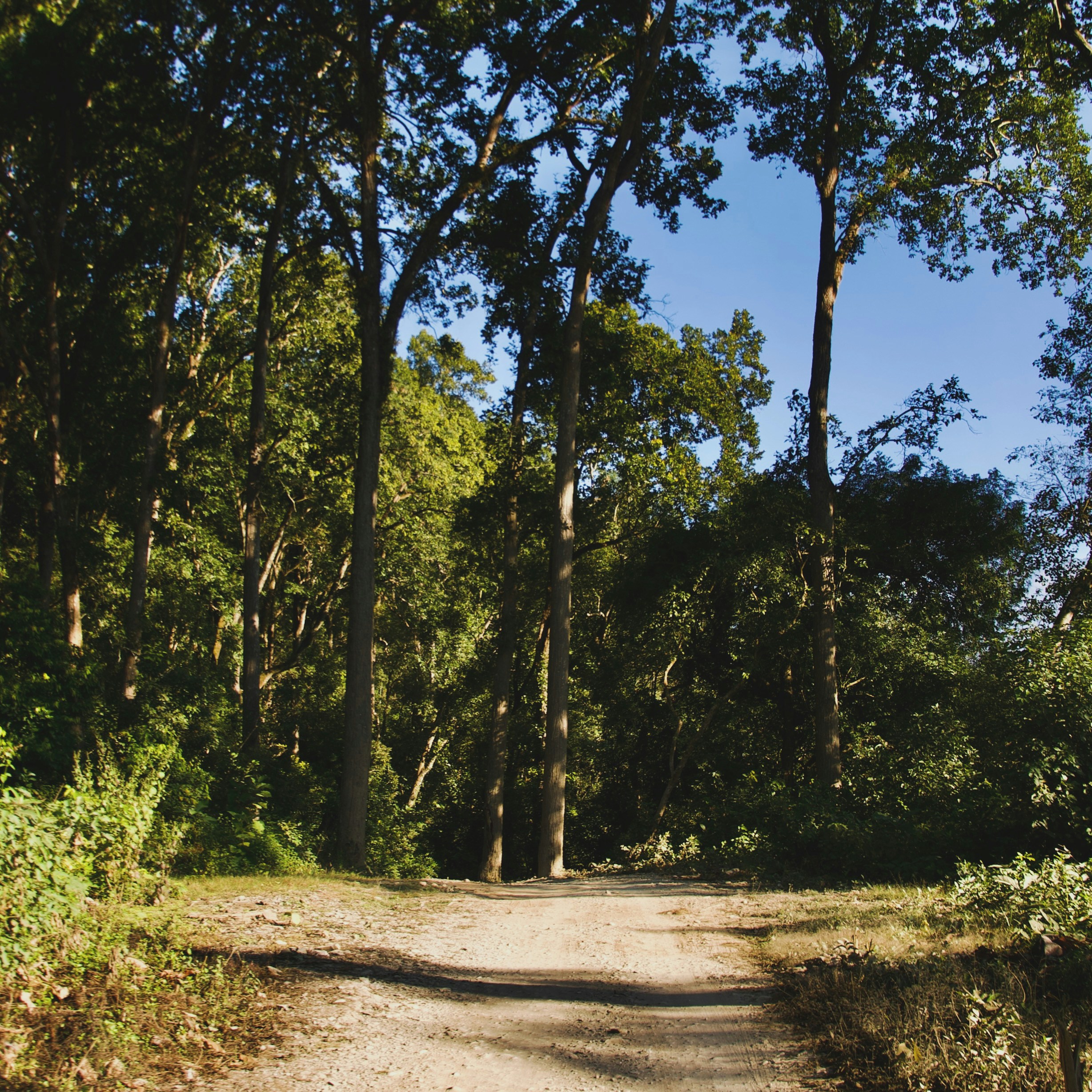 Photo by hiteshkapoor