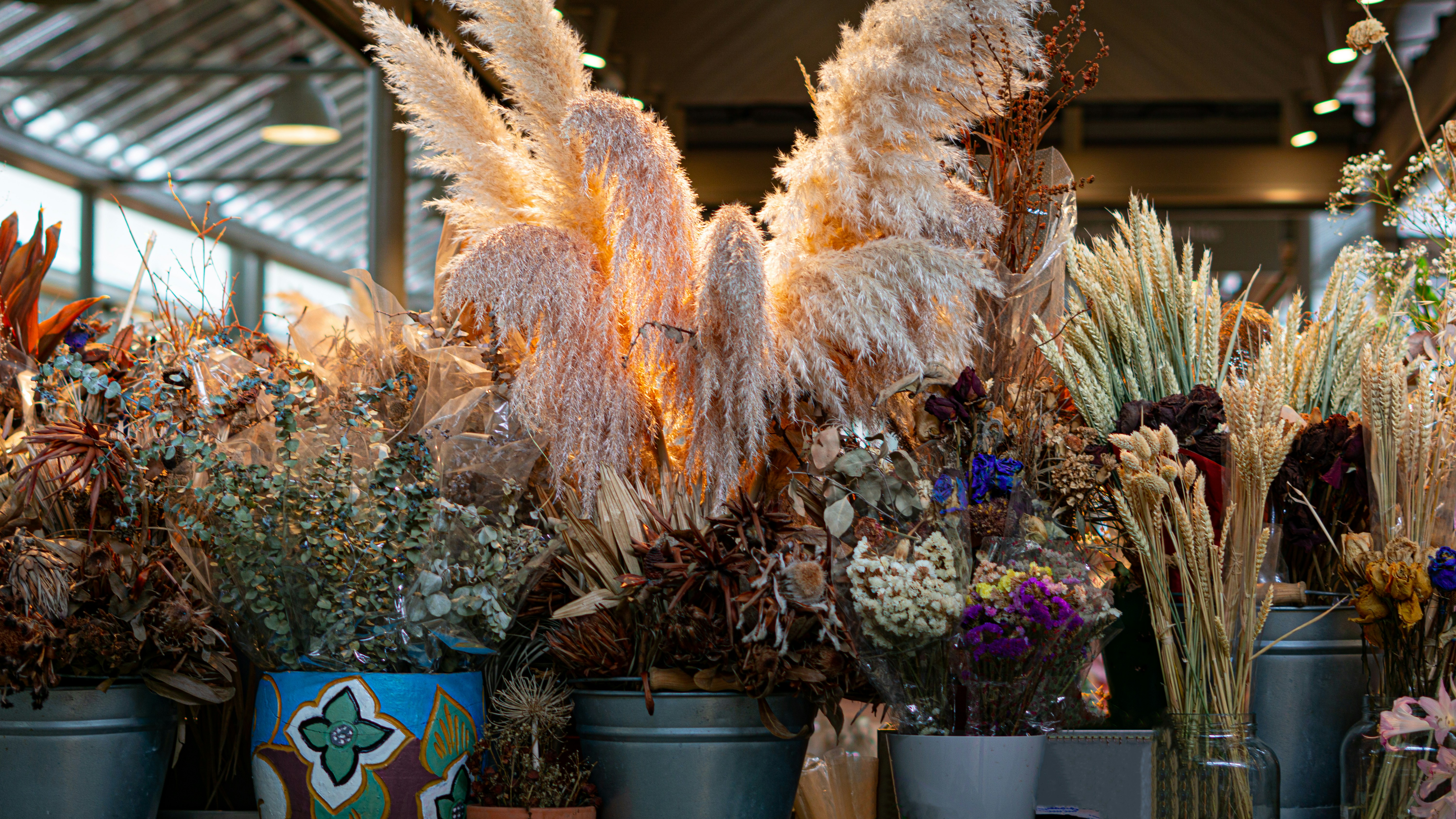 Assortment of dried flowers and grasses in vases.