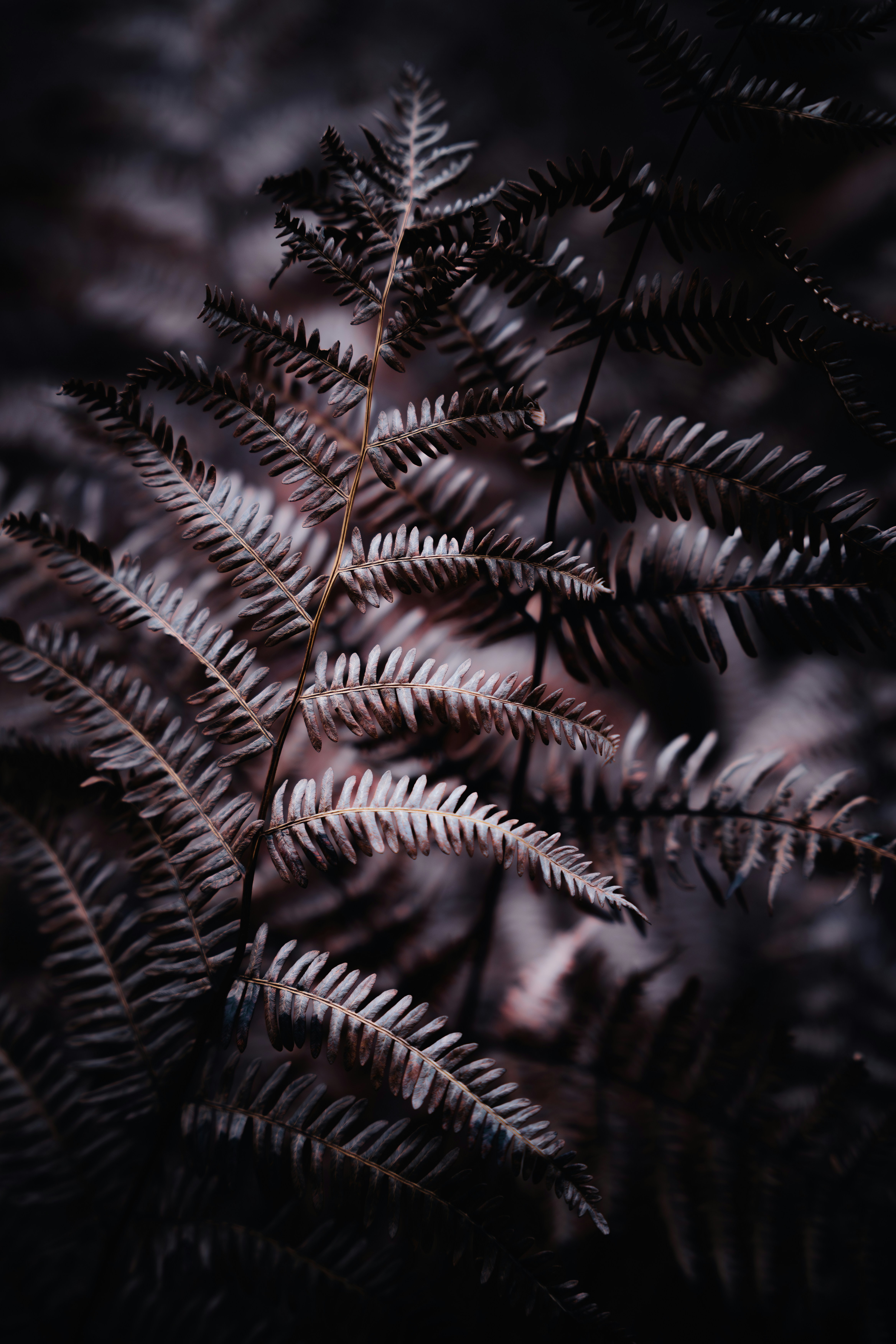 Photo by alexisnthere_