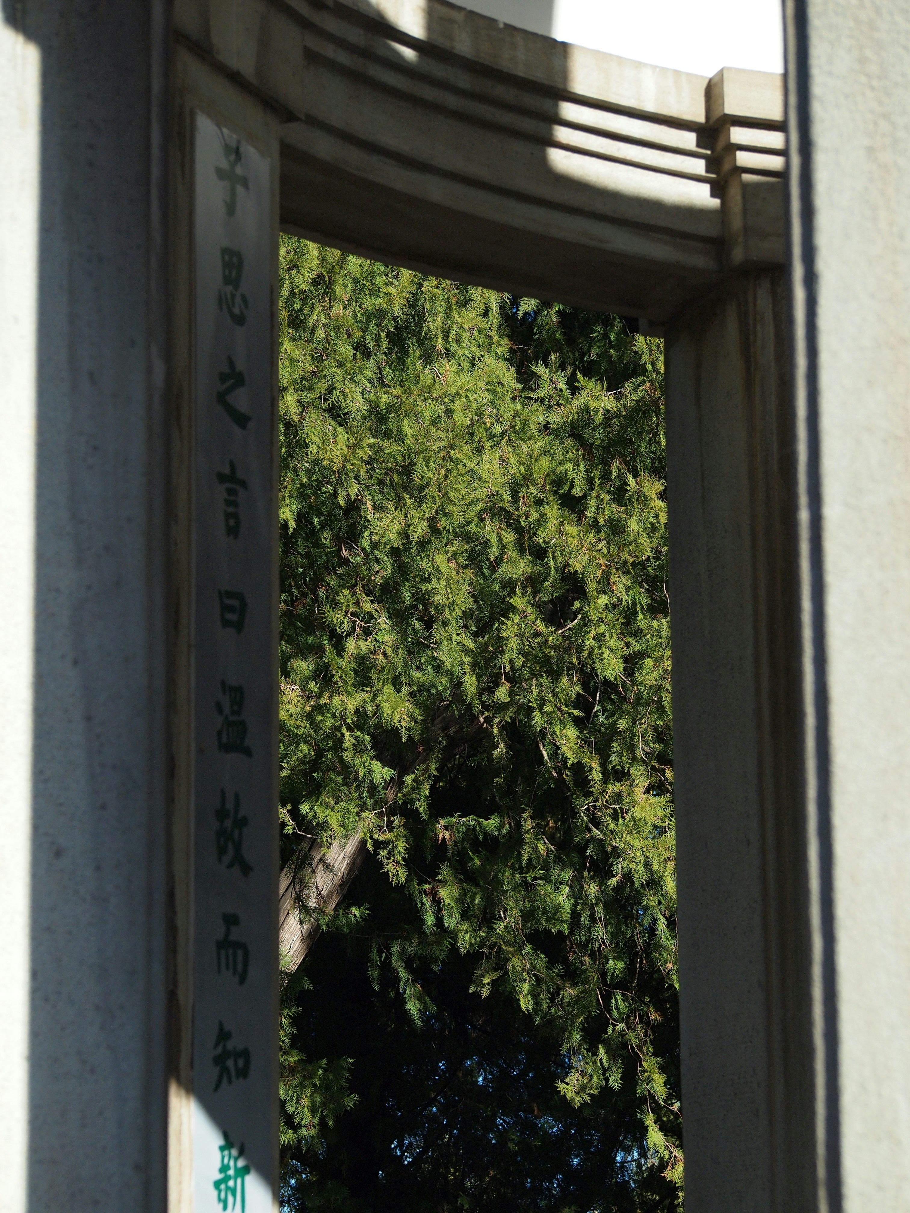 Photo by shawnieyang0606