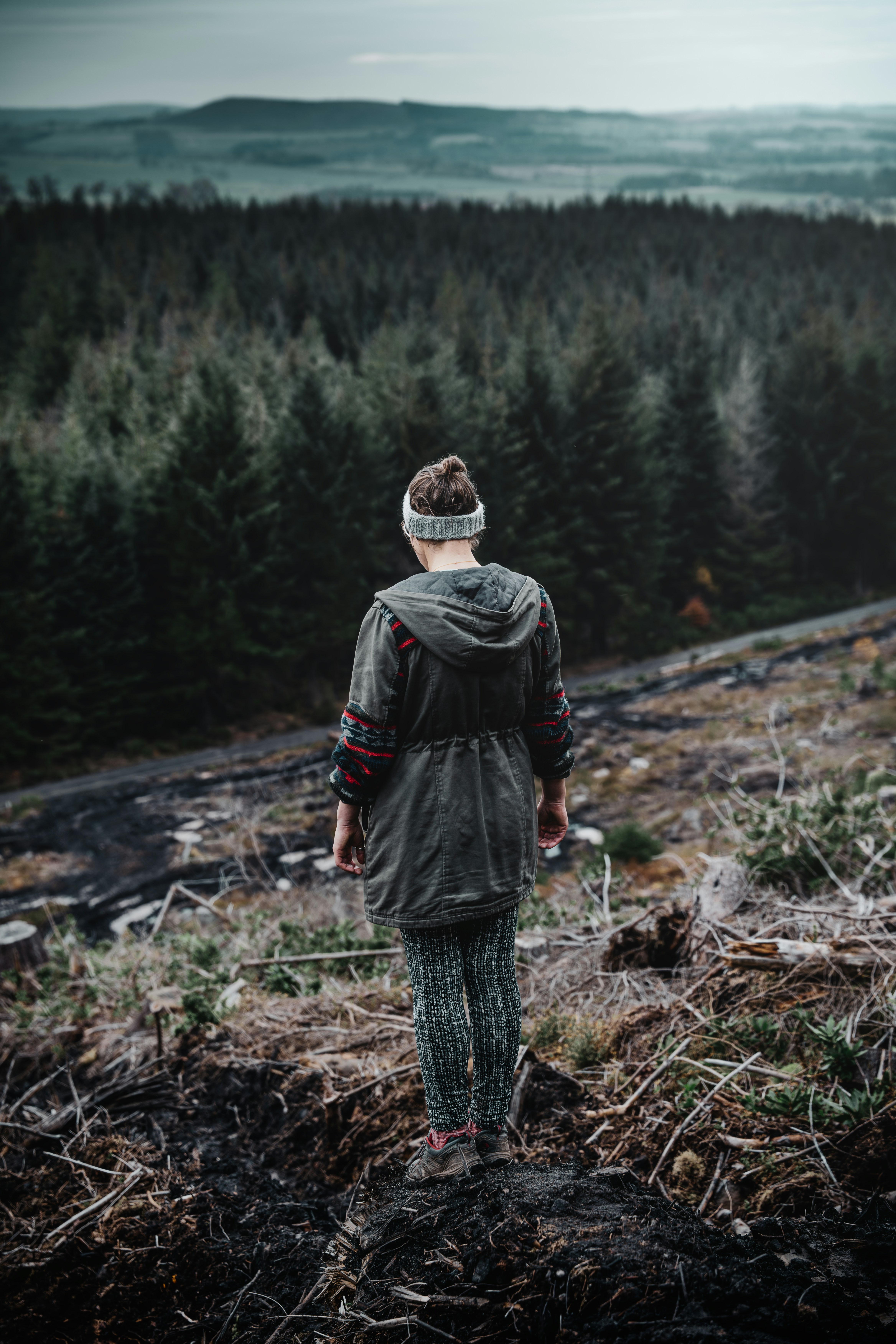 Person standing on a hill overlooking forest