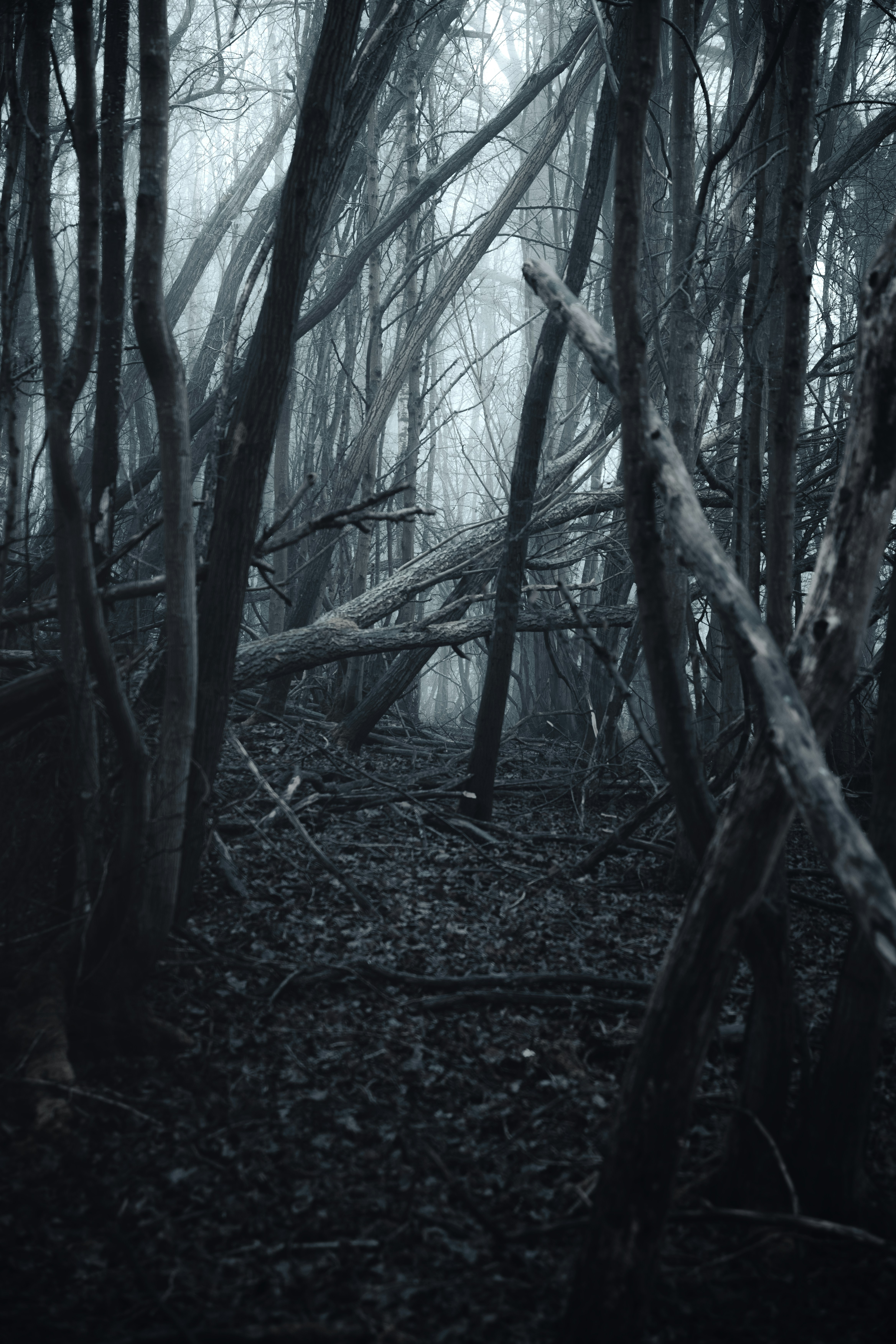 Photo by alexisnthere_