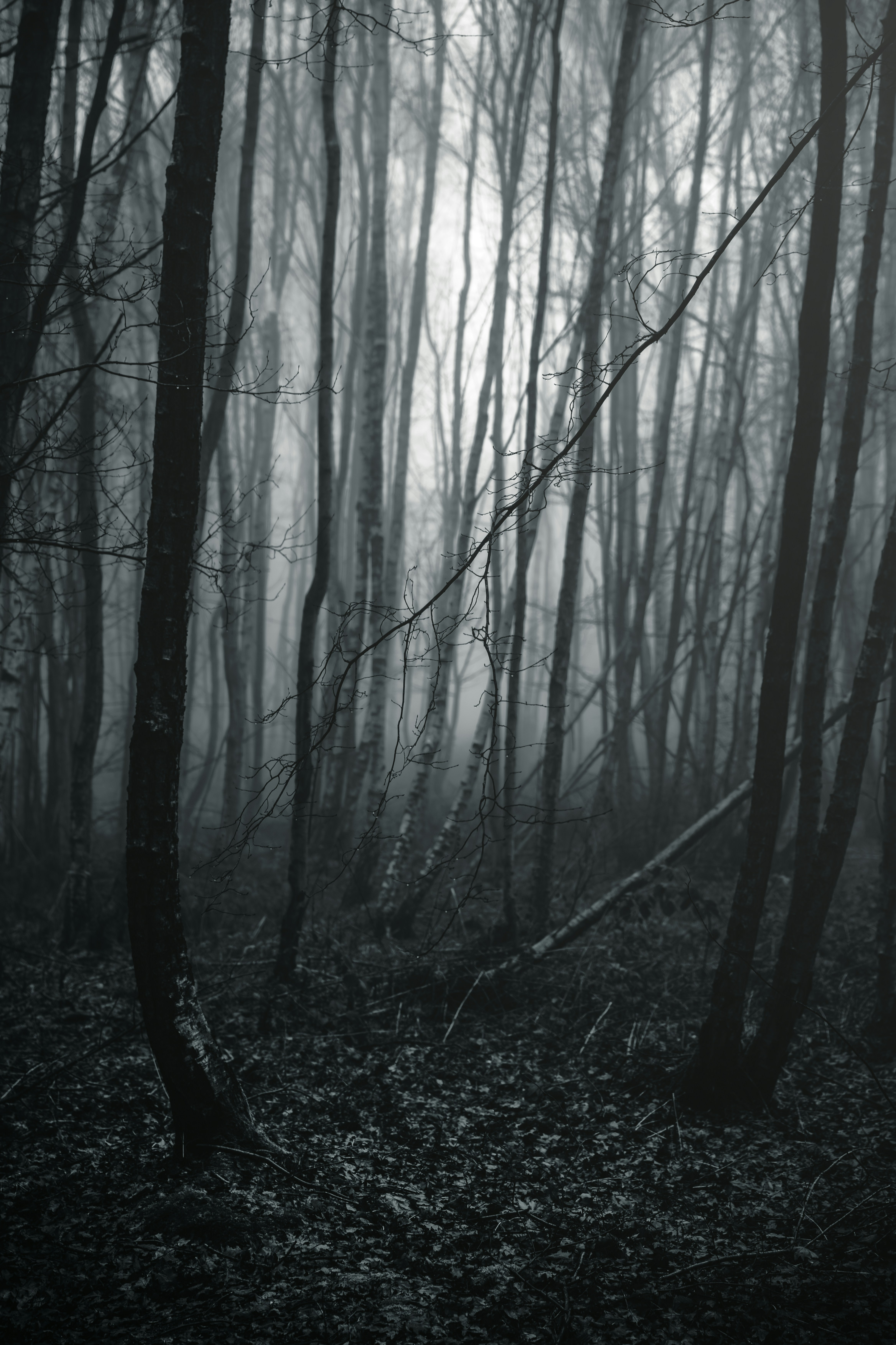 Photo by alexisnthere_