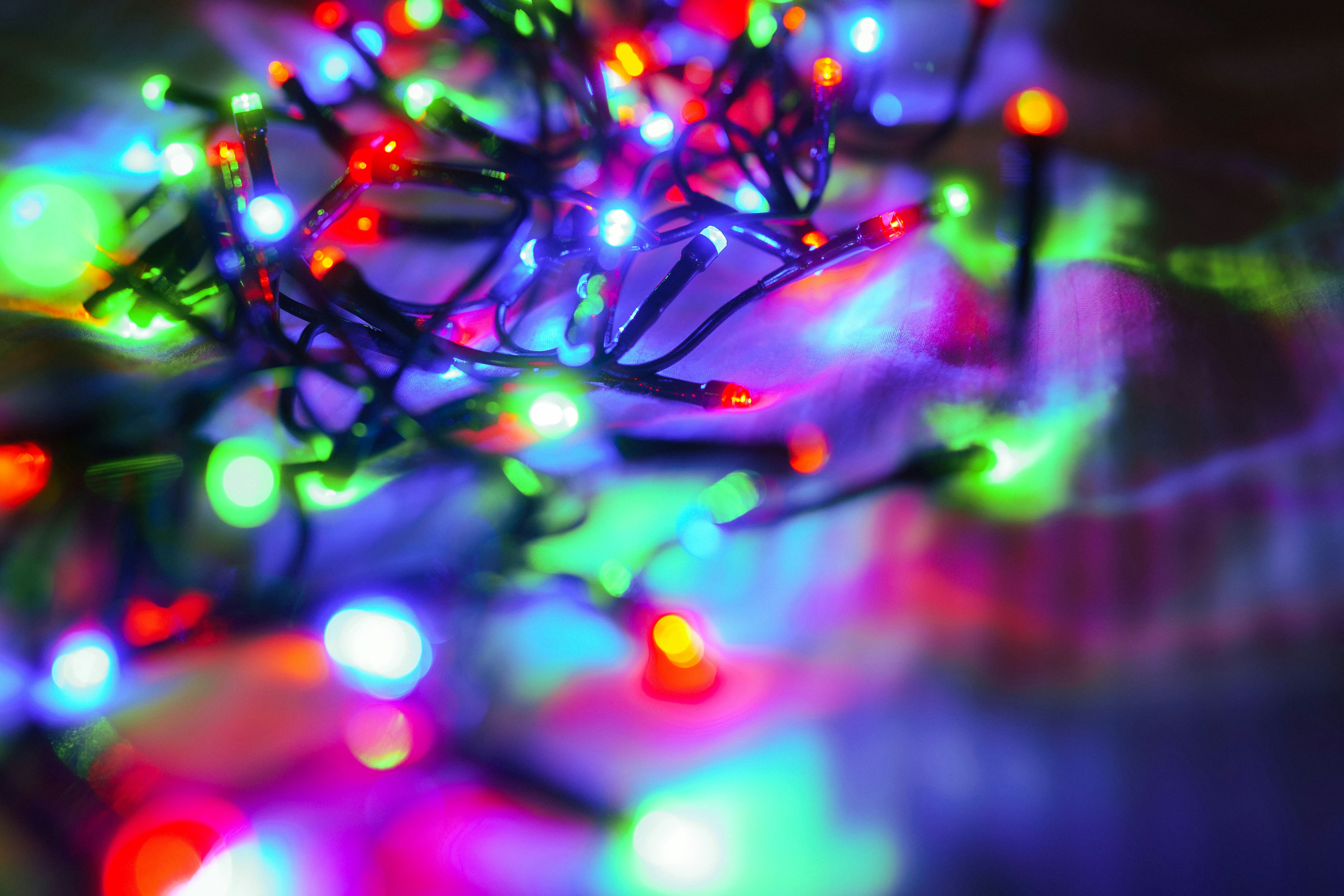 Locale | 10 Best Holiday Light Displays in Los Angeles