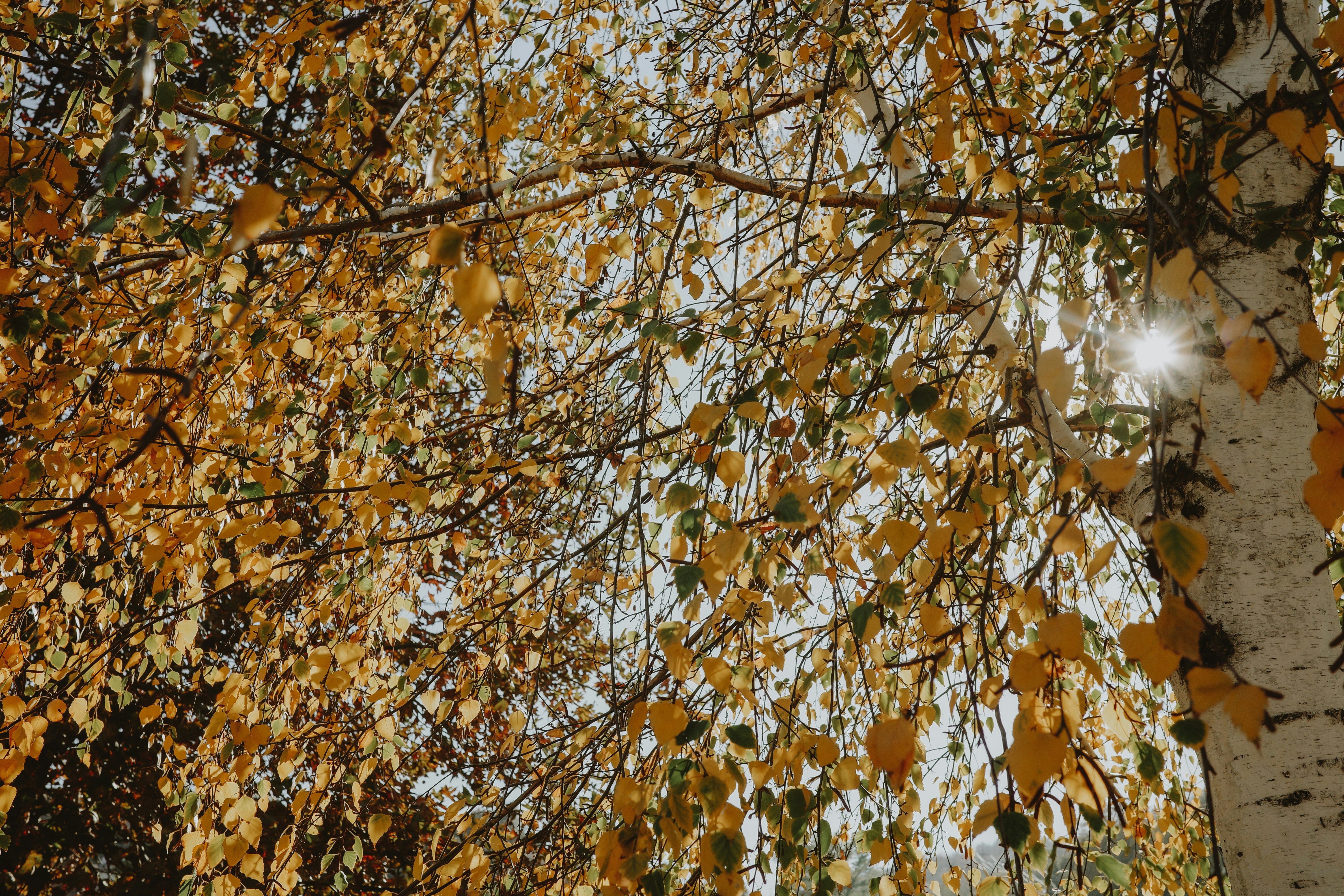 Photo by virginiaphotostories