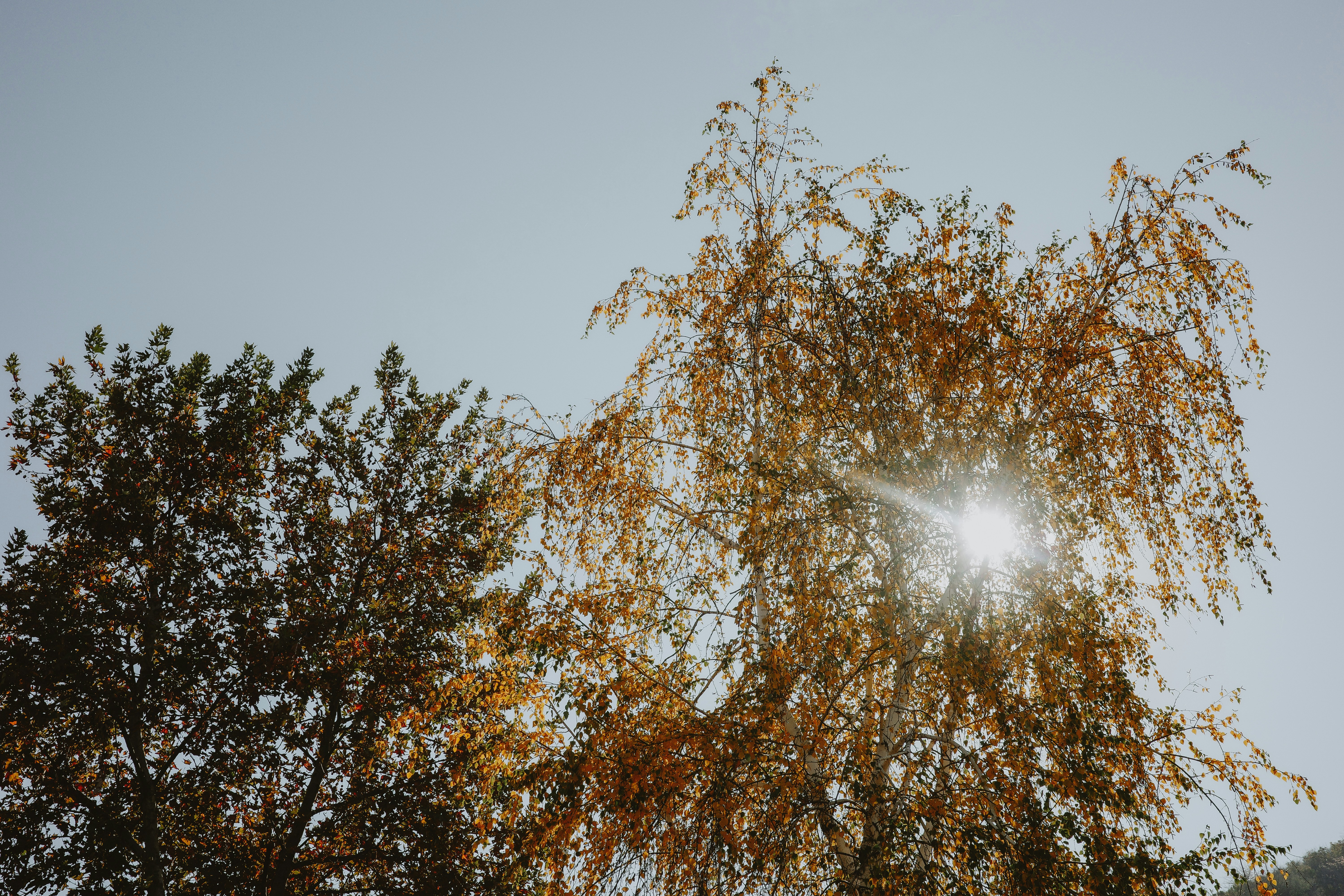 Photo by virginiaphotostories