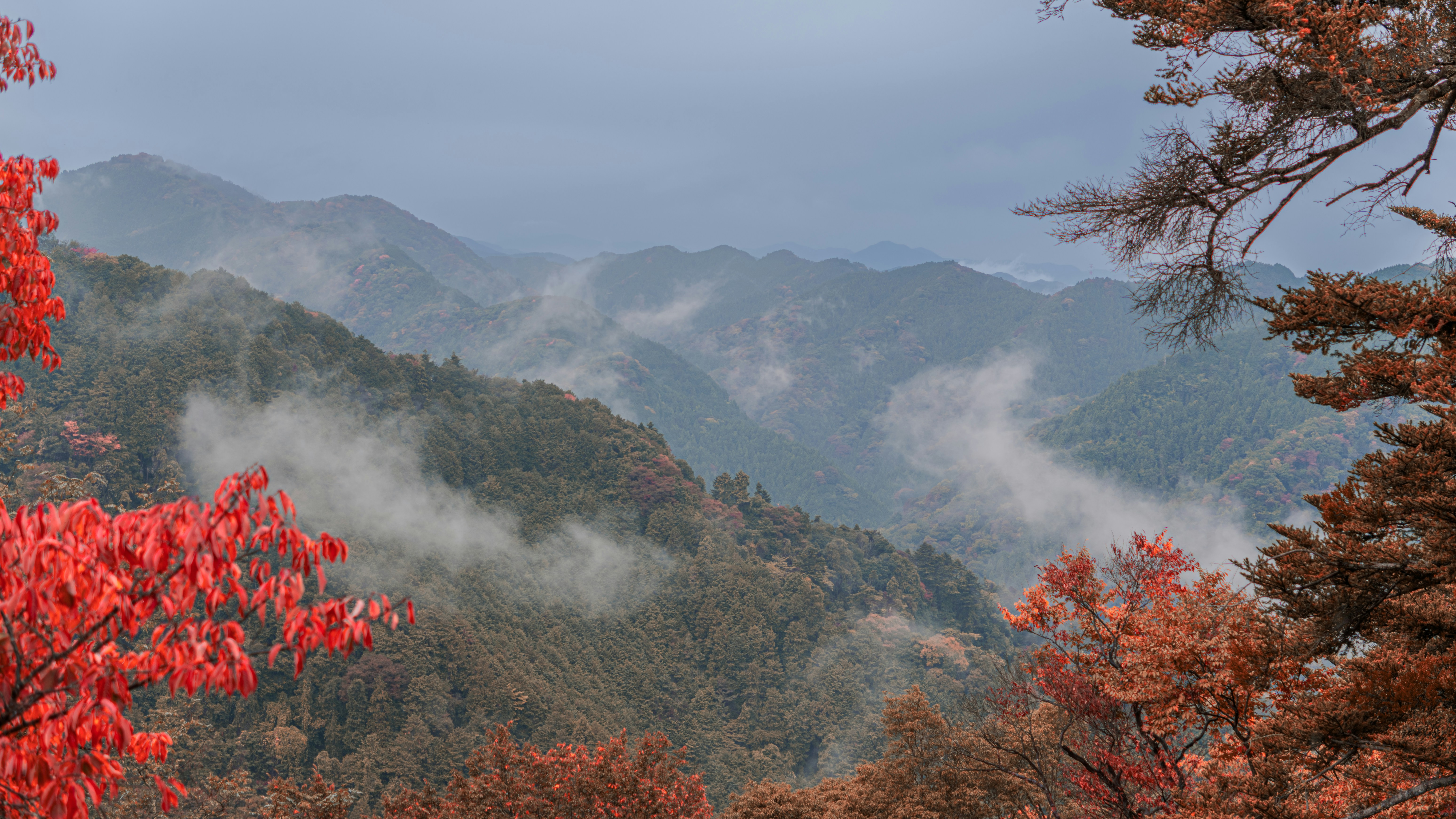 Photo by insane_scene