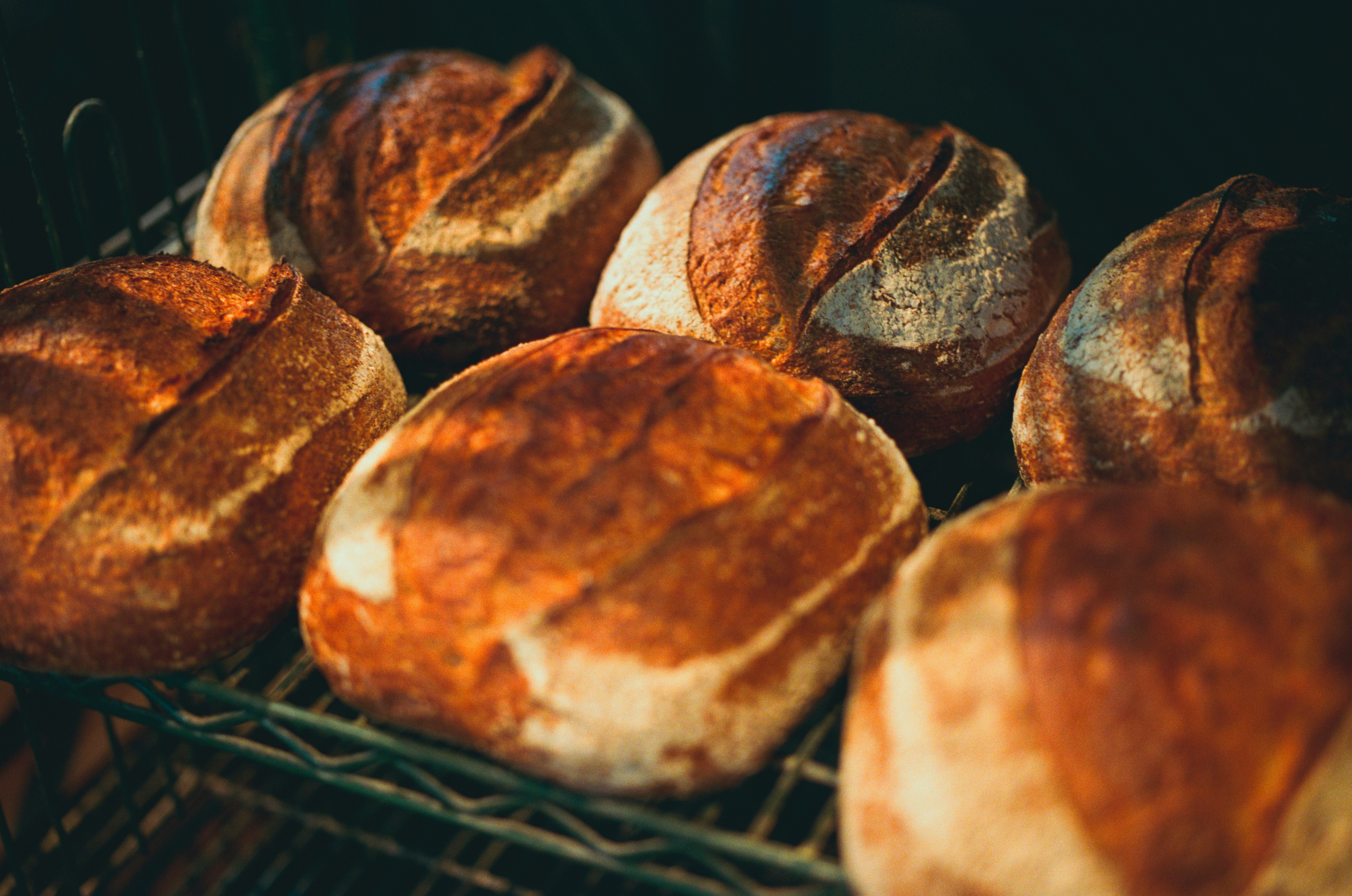 Photo by intrepidfilm