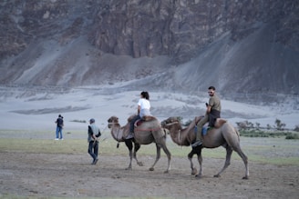 People riding camels in a barren, mountainous landscape.