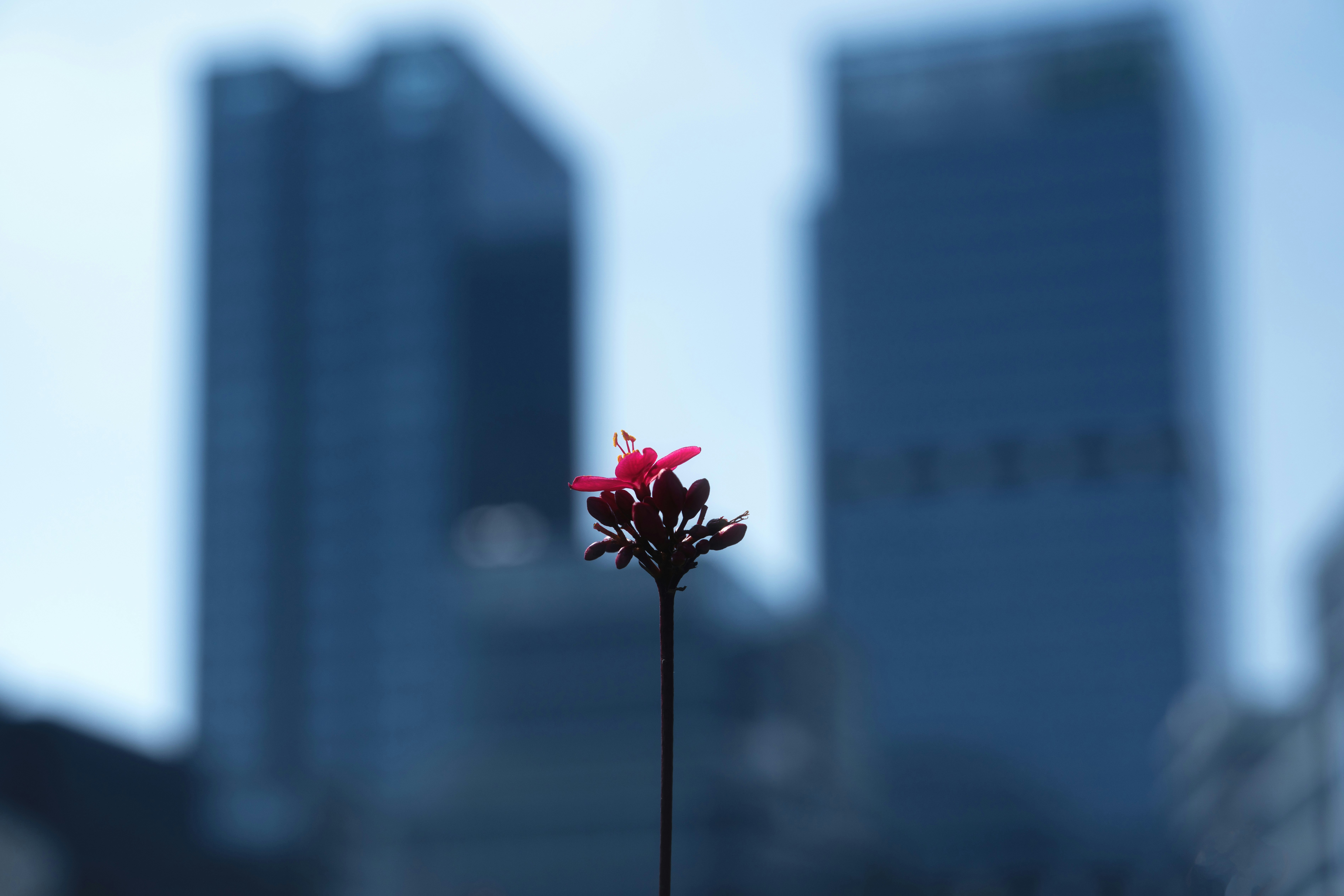 Urban Resilience Summit background