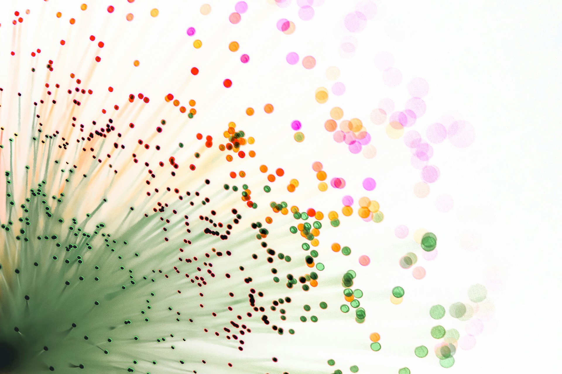 Abstract colorful bokeh lights on white background