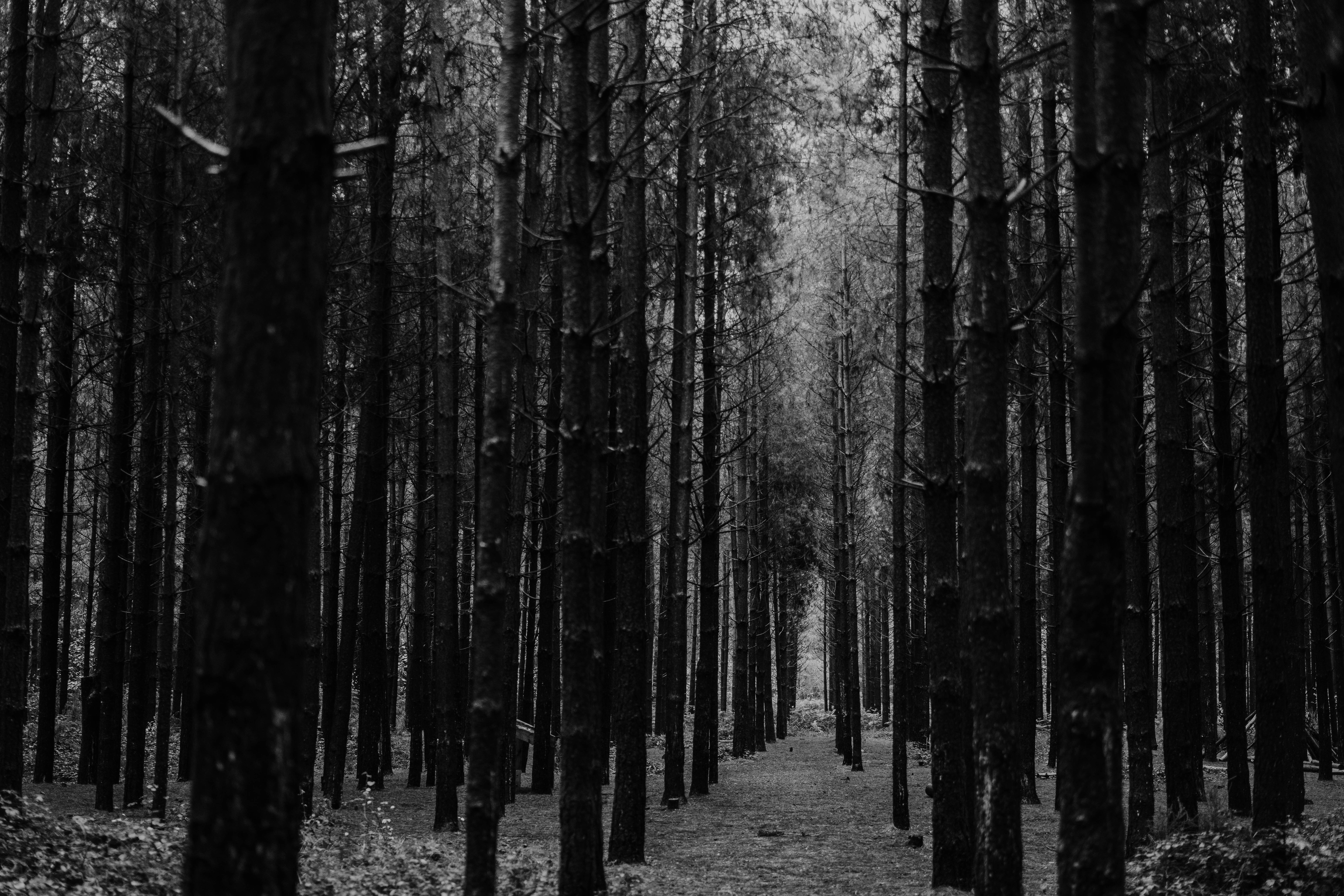 Photo by philhearing