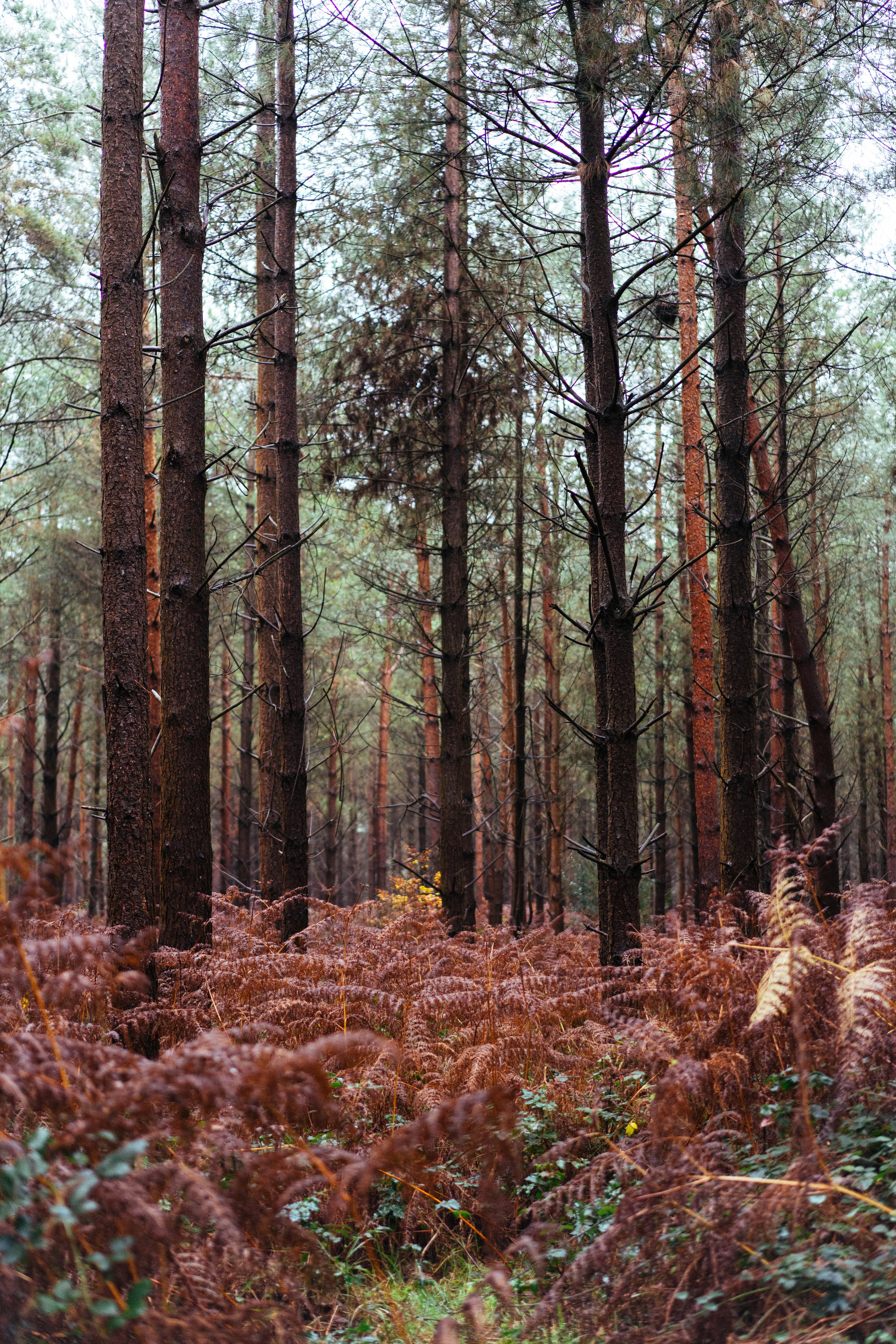 Photo by philhearing