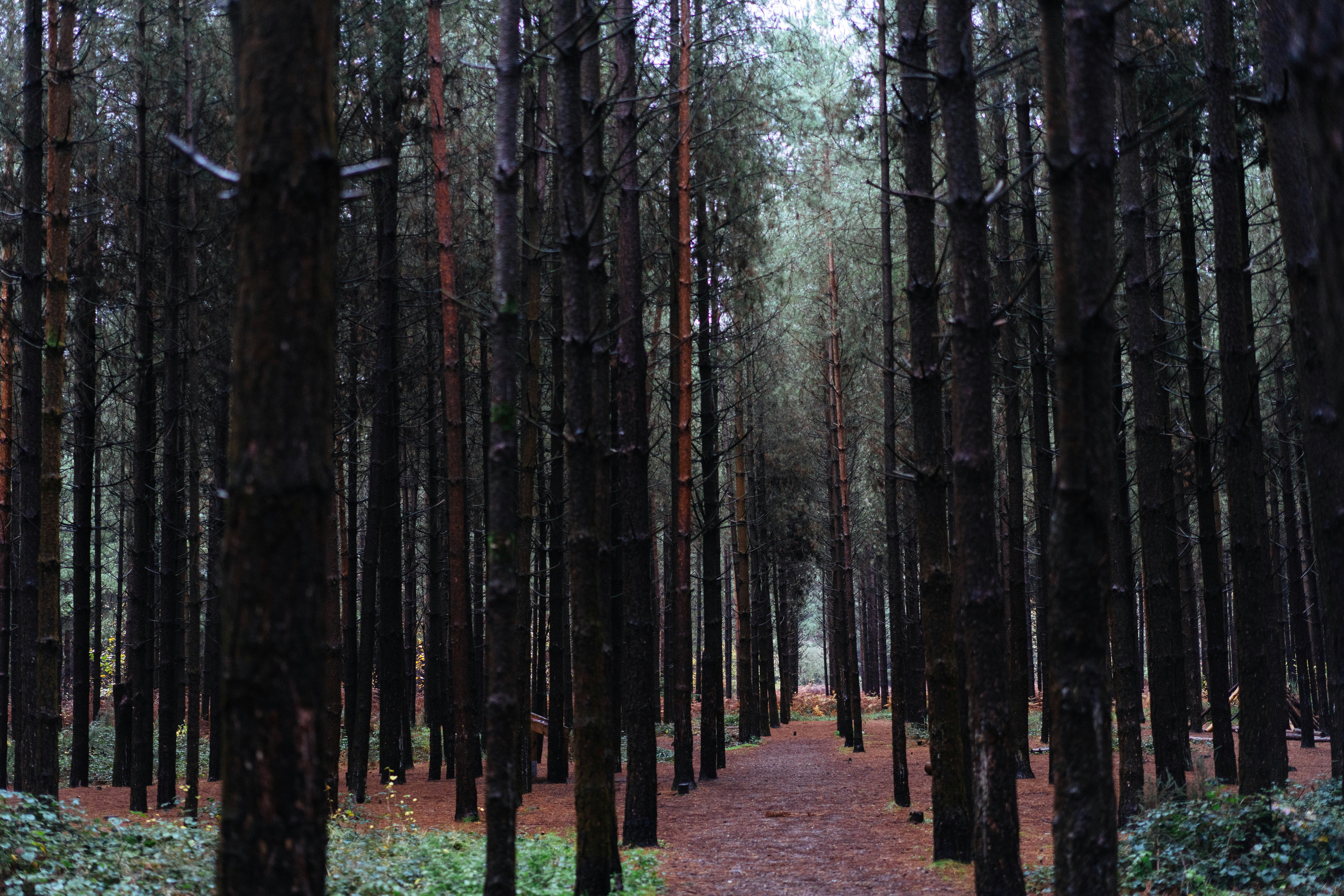 Photo by philhearing