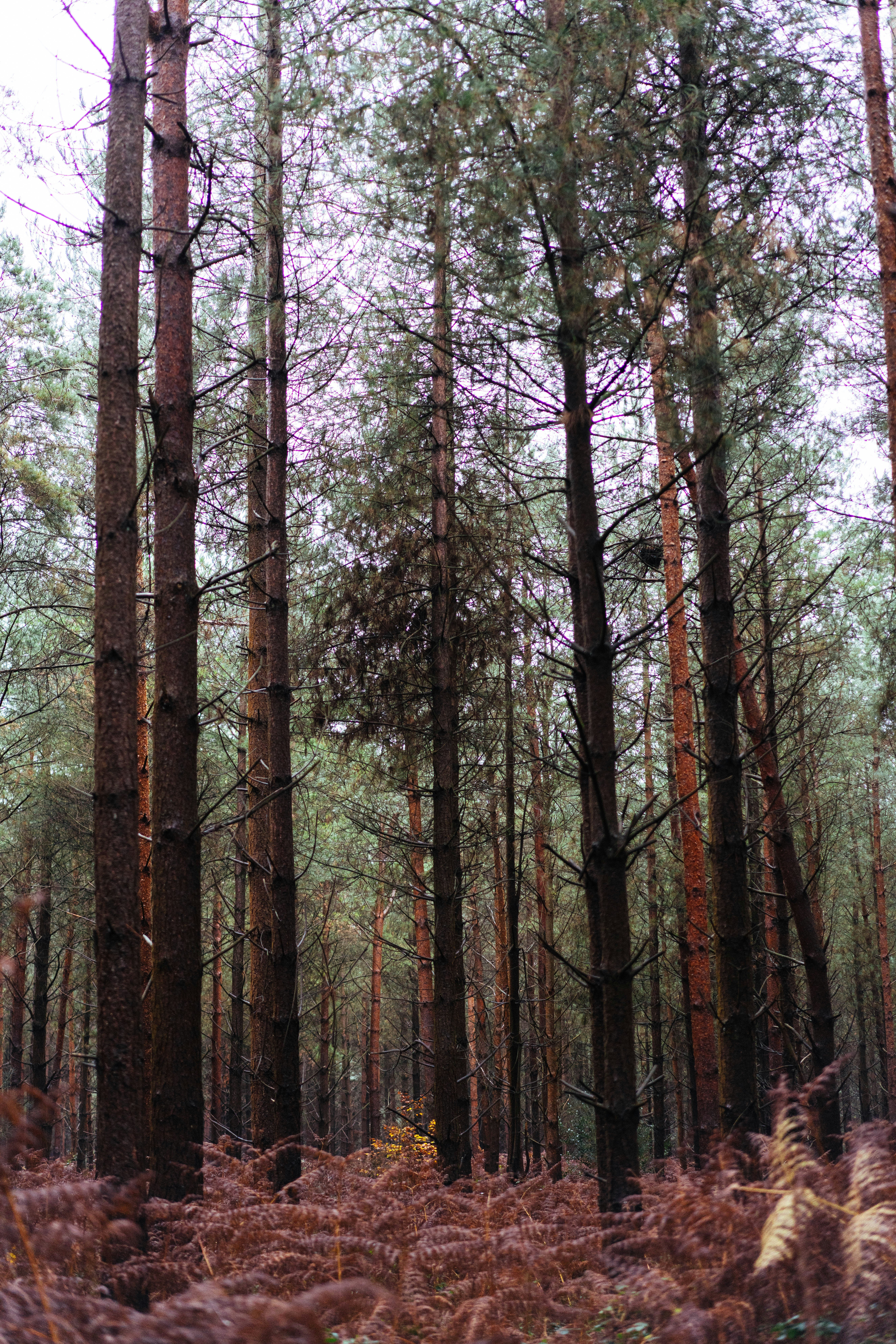 Photo by philhearing