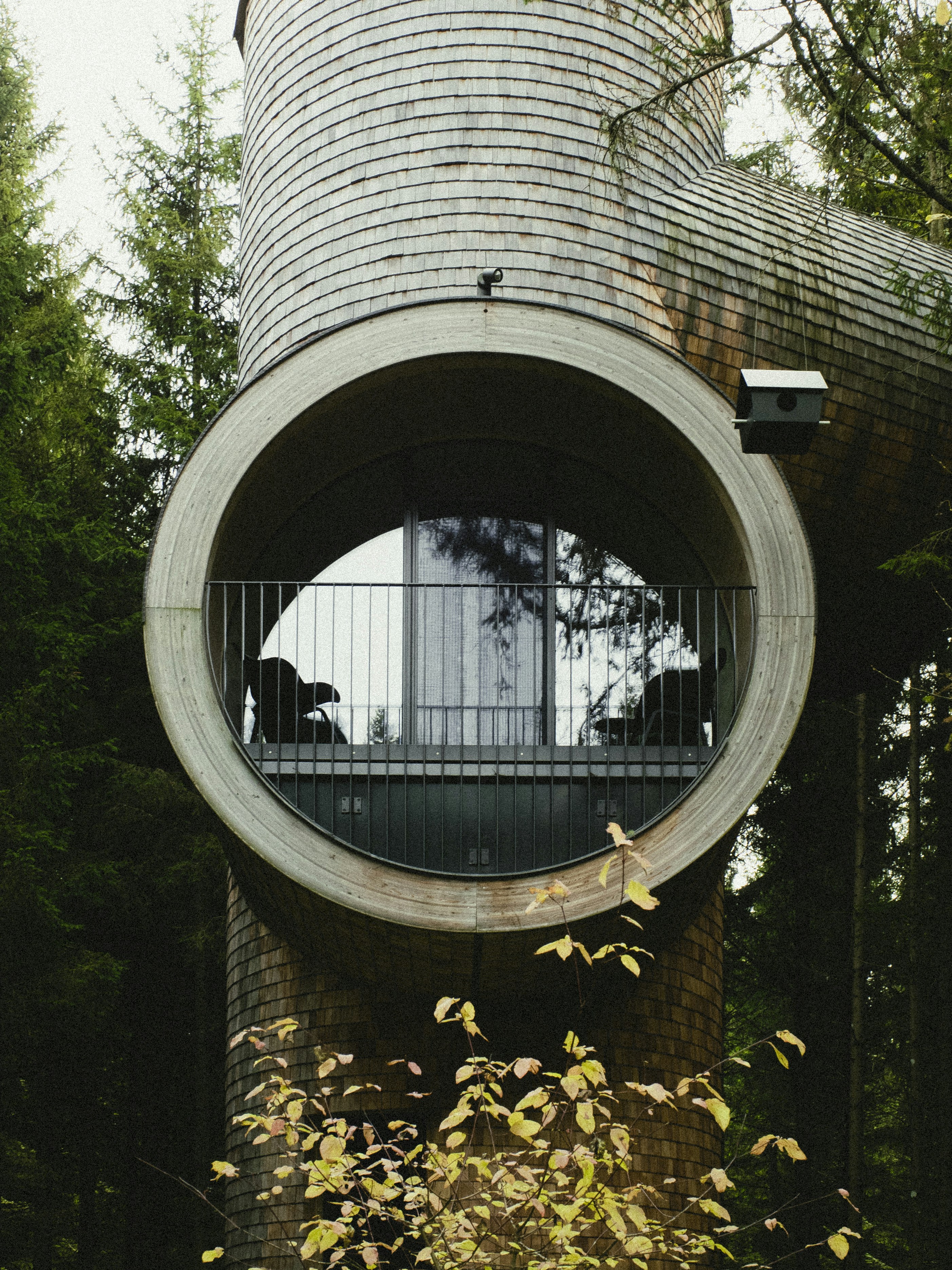 Modernes Baumhaus mit großem, rundem Fenster im Wald.