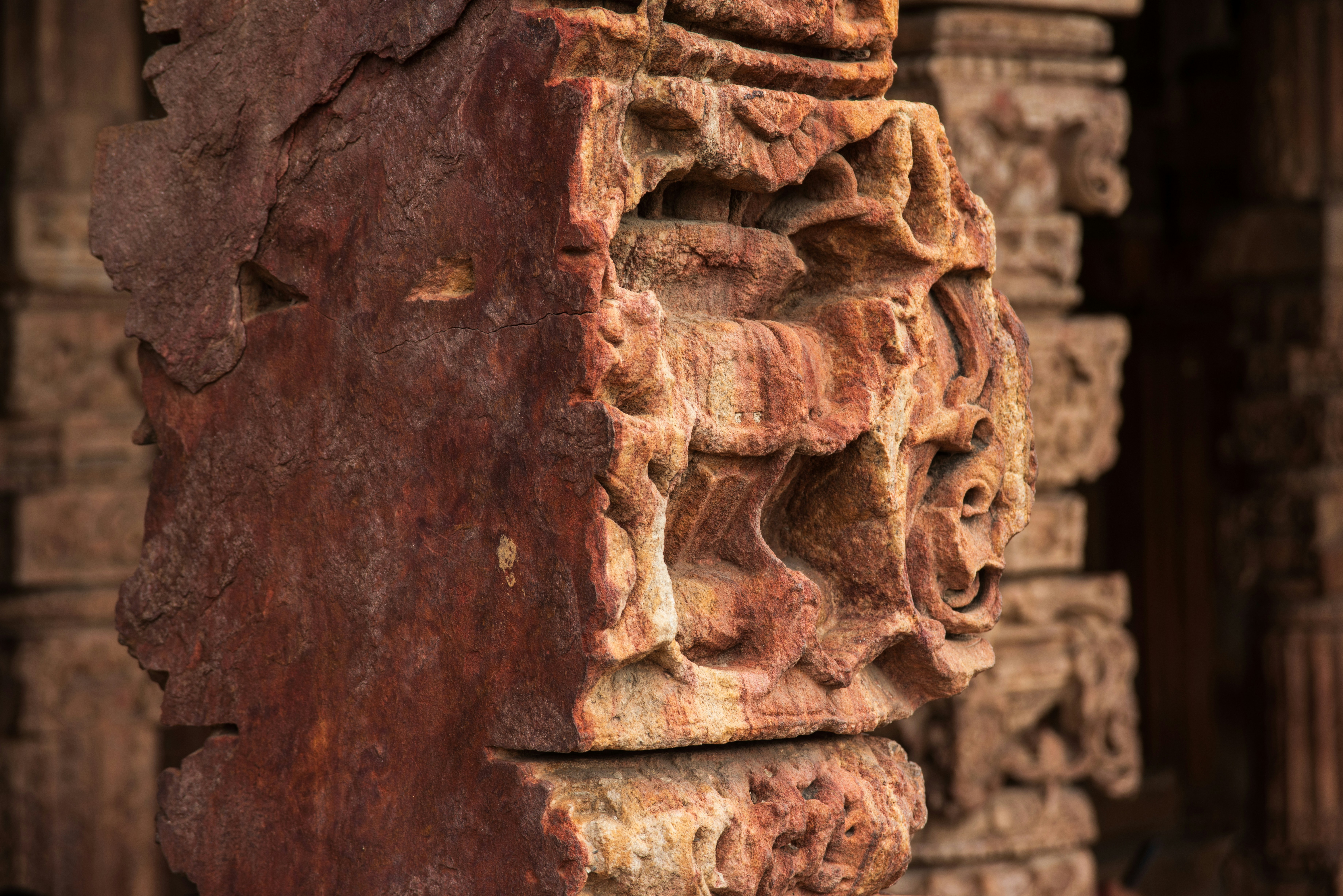 Photo by zoshuacolah