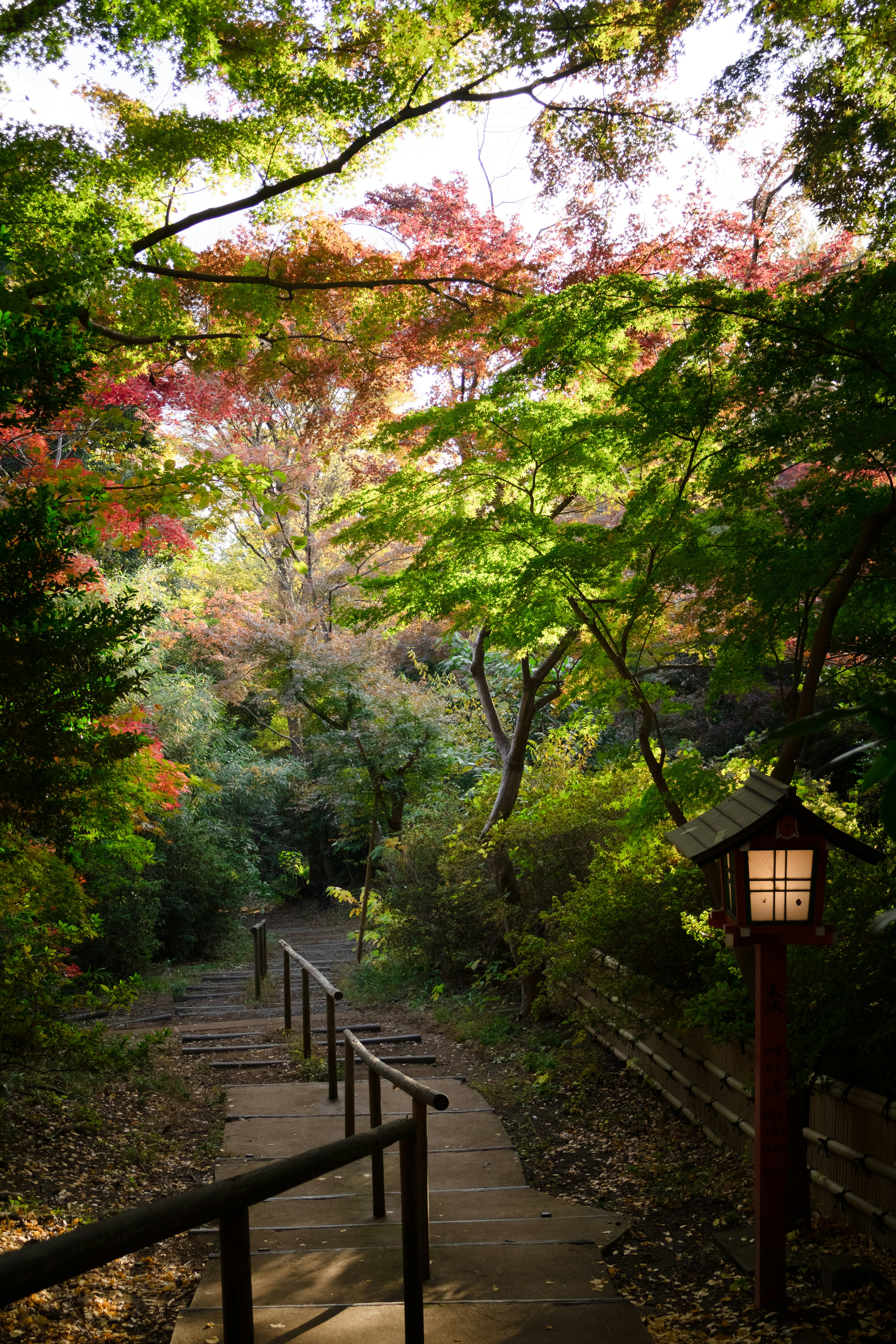 Photo by katekasiutich