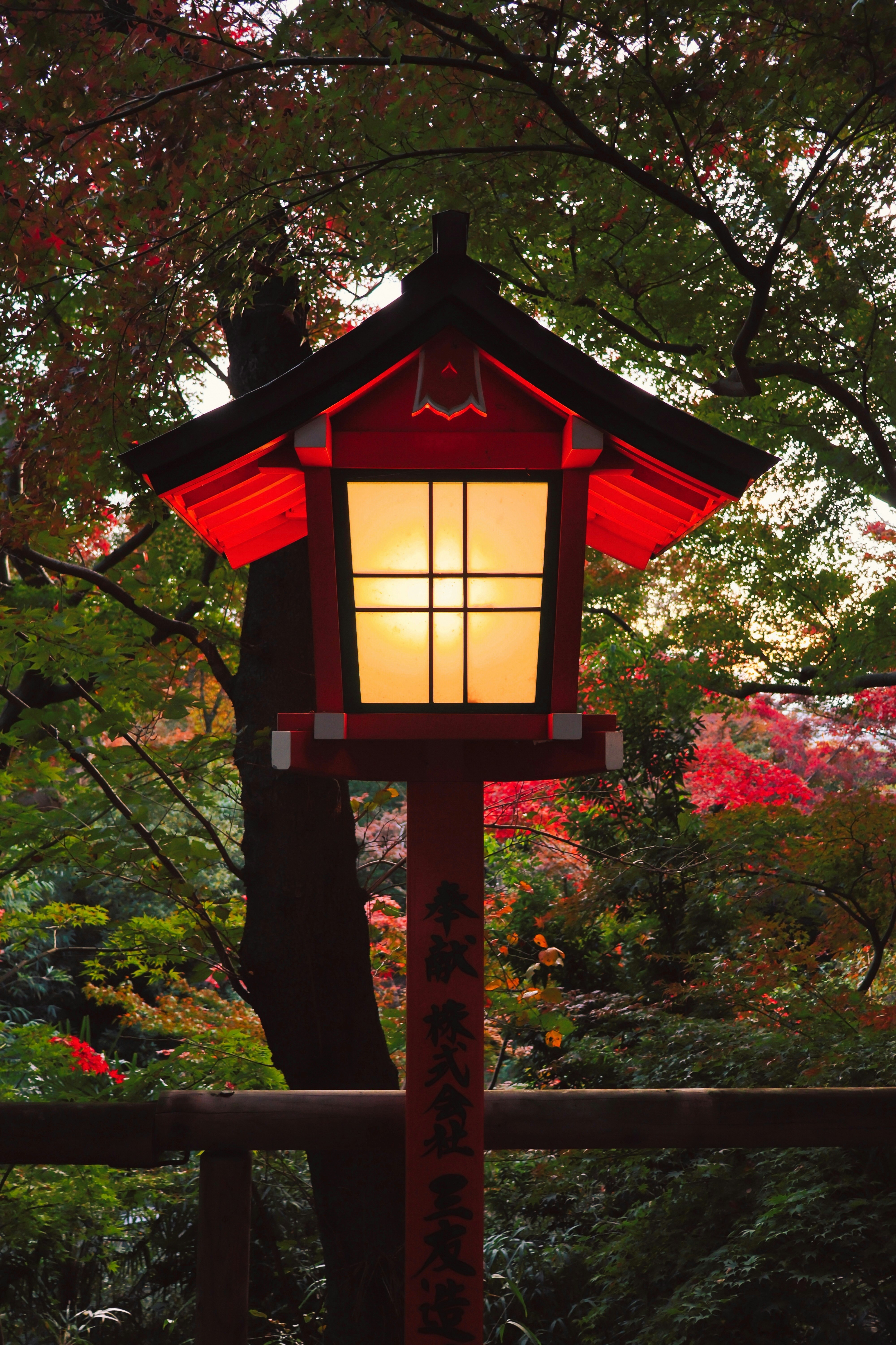 Photo by katekasiutich